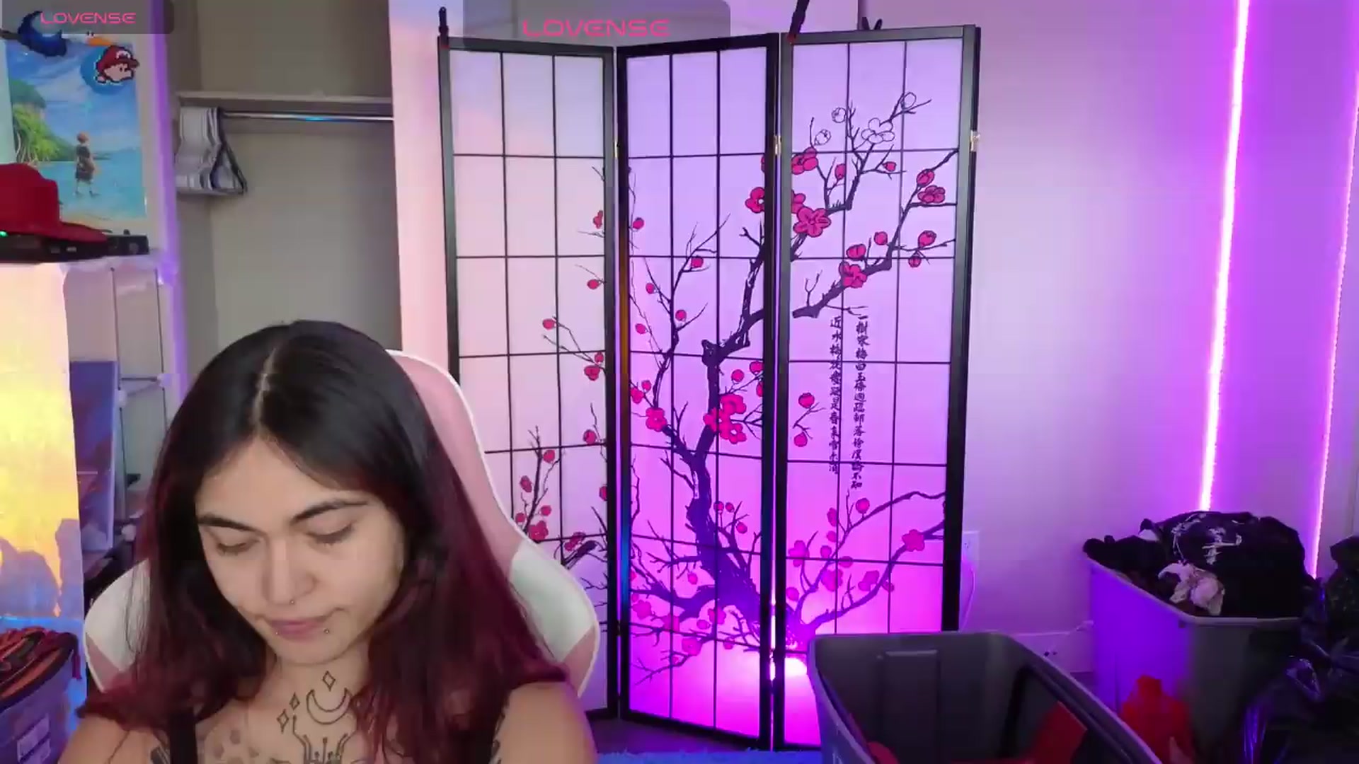 Gallery image thumbnail from lilRavenFox's myfreecams stream on, 05/20/2026, 20:15 image 14 of 20