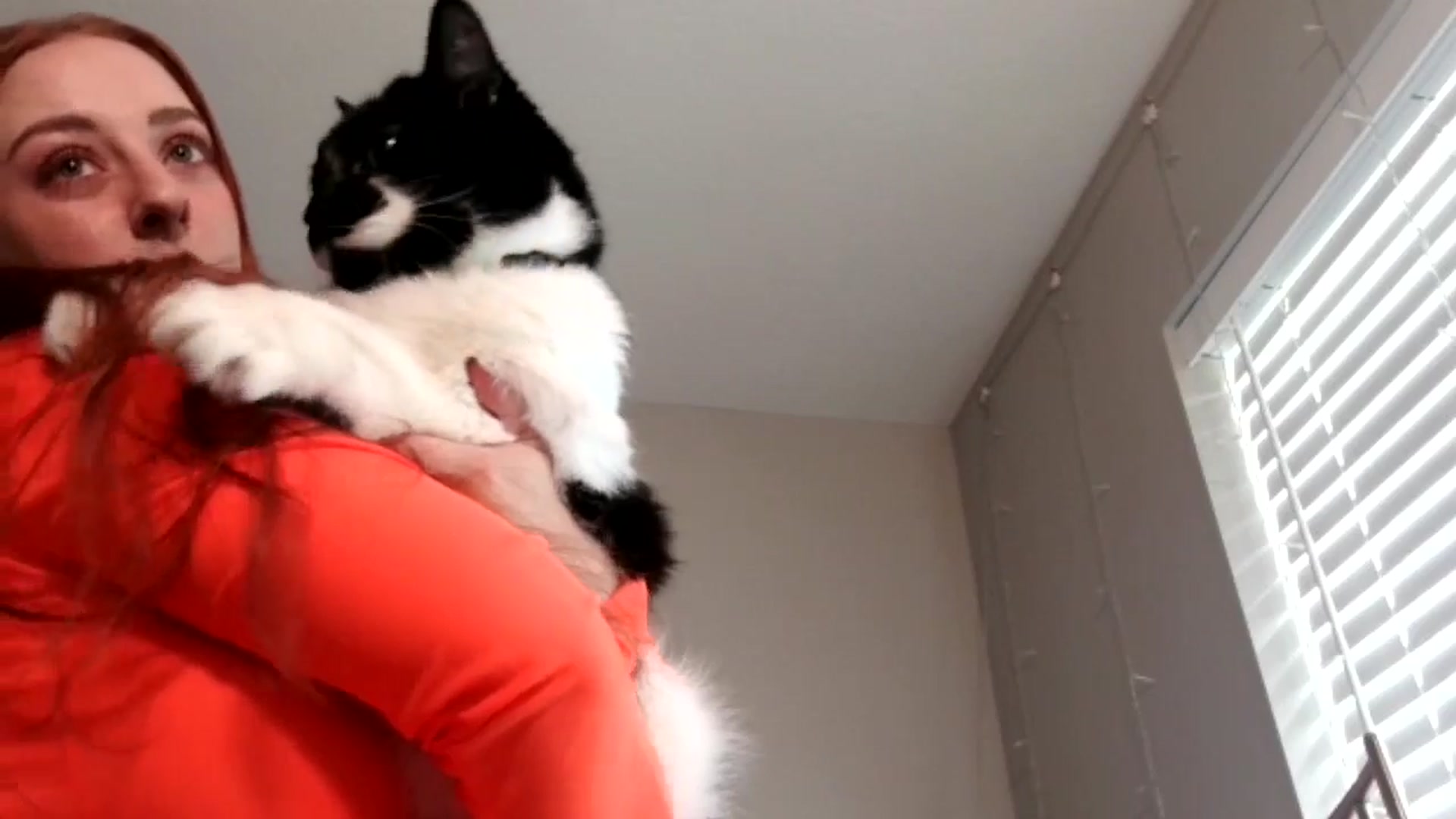 Gallery image thumbnail from lil_purrmaid's myfreecams stream on, 06/08/2025, 15:05 image 12 of 20