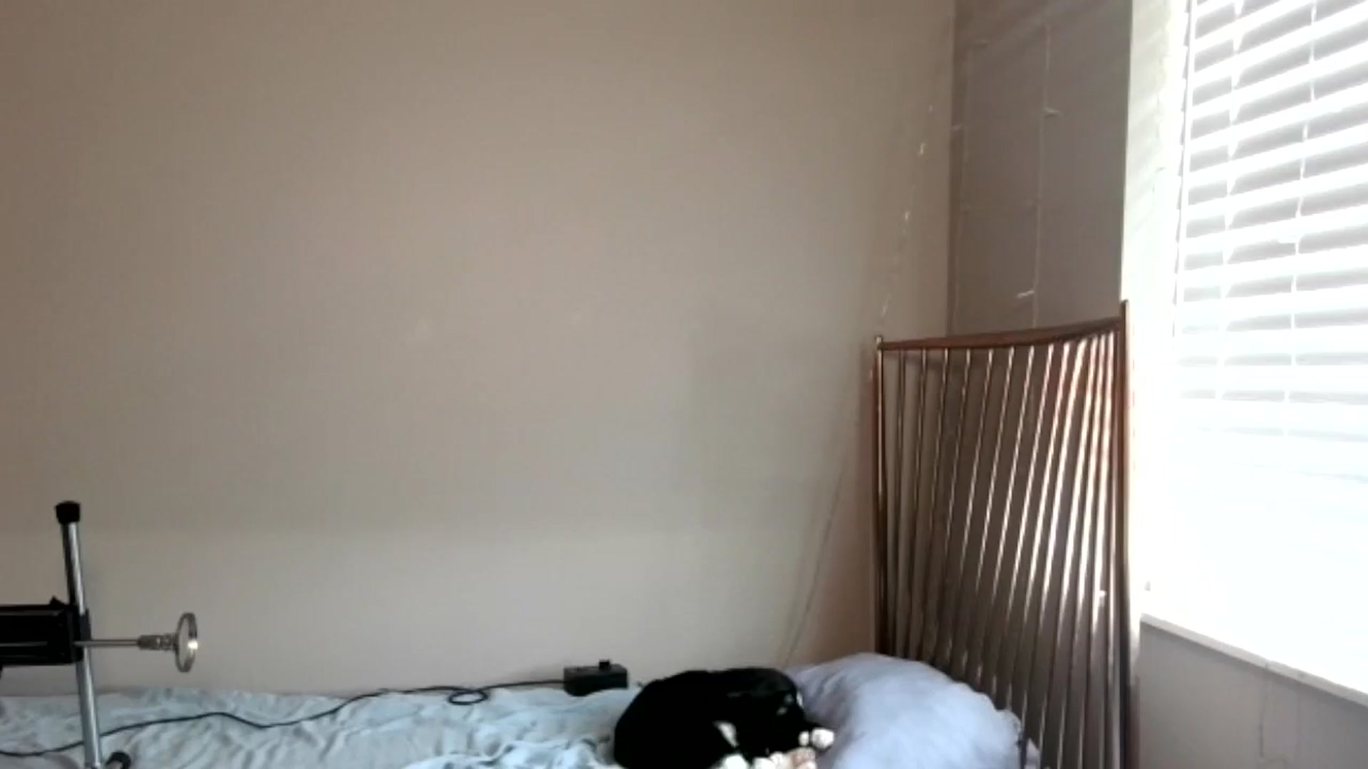 Gallery image thumbnail from lil_purrmaid's myfreecams stream on, 06/08/2025, 17:11 image 2 of 20