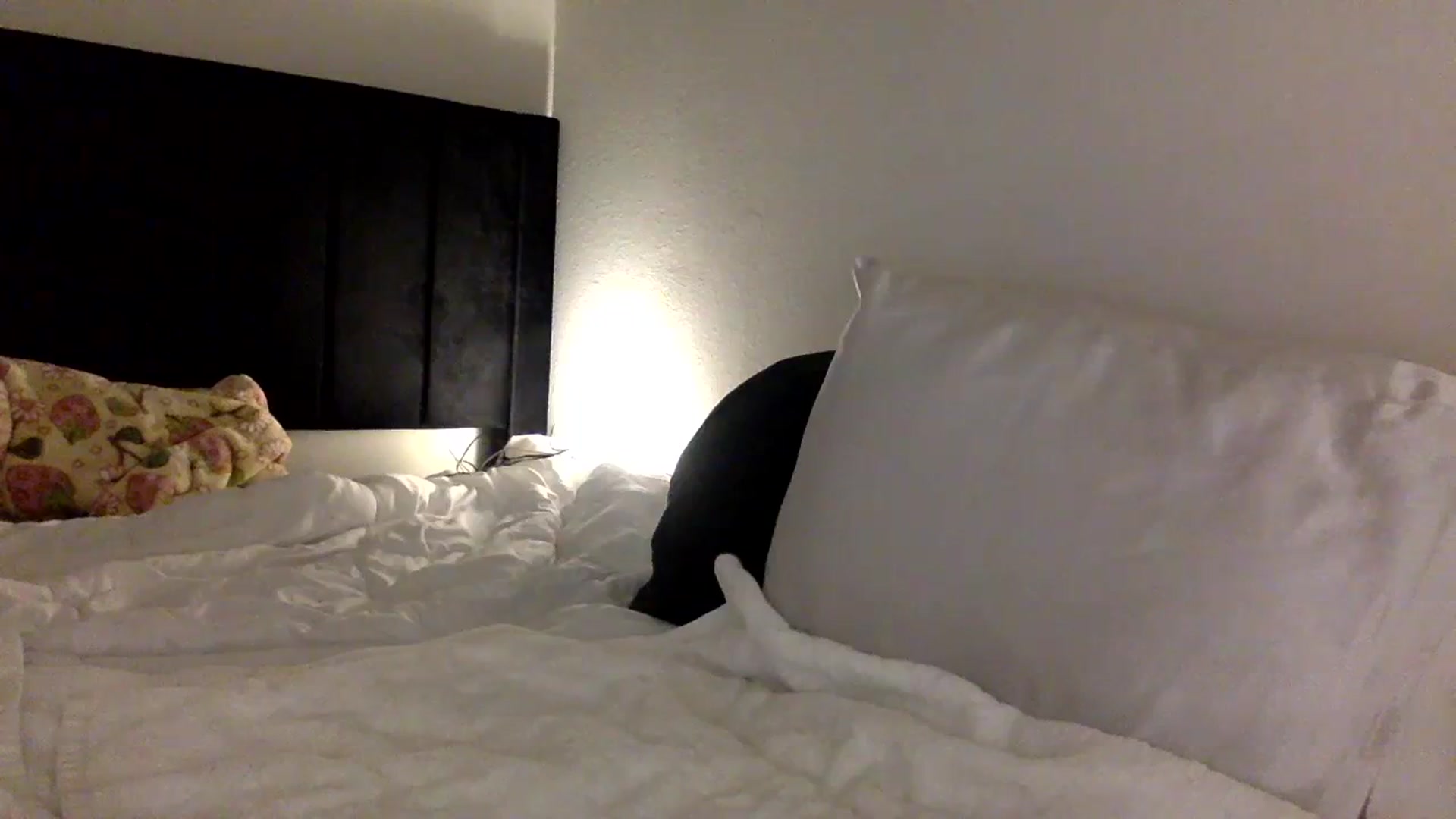 Gallery image thumbnail from lilagomez's myfreecams stream on, 03/22/2024, 12:49 image 15 of 20
