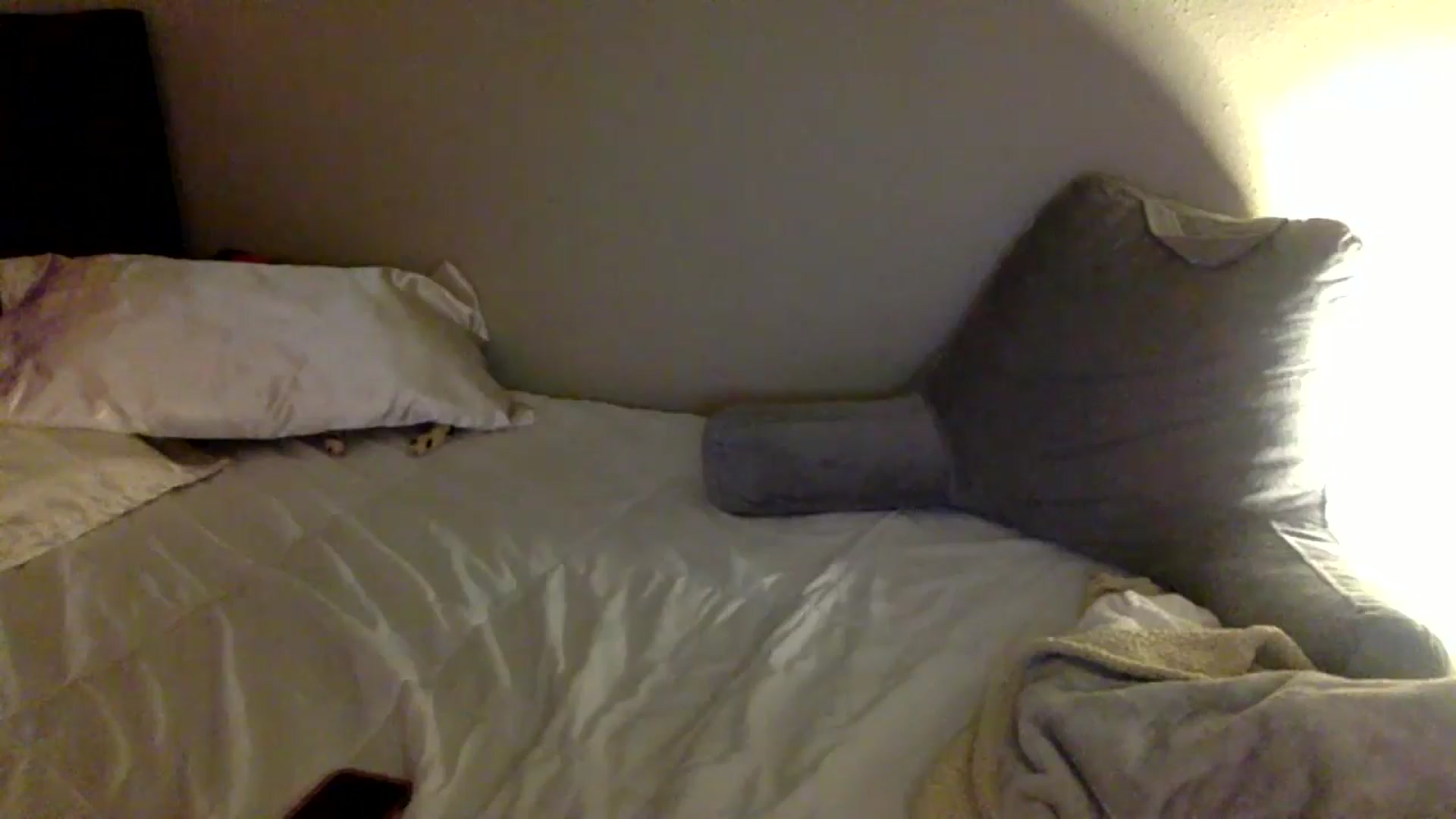 Gallery image thumbnail from lilagomez's myfreecams stream on, 07/21/2024, 10:07 image 18 of 20