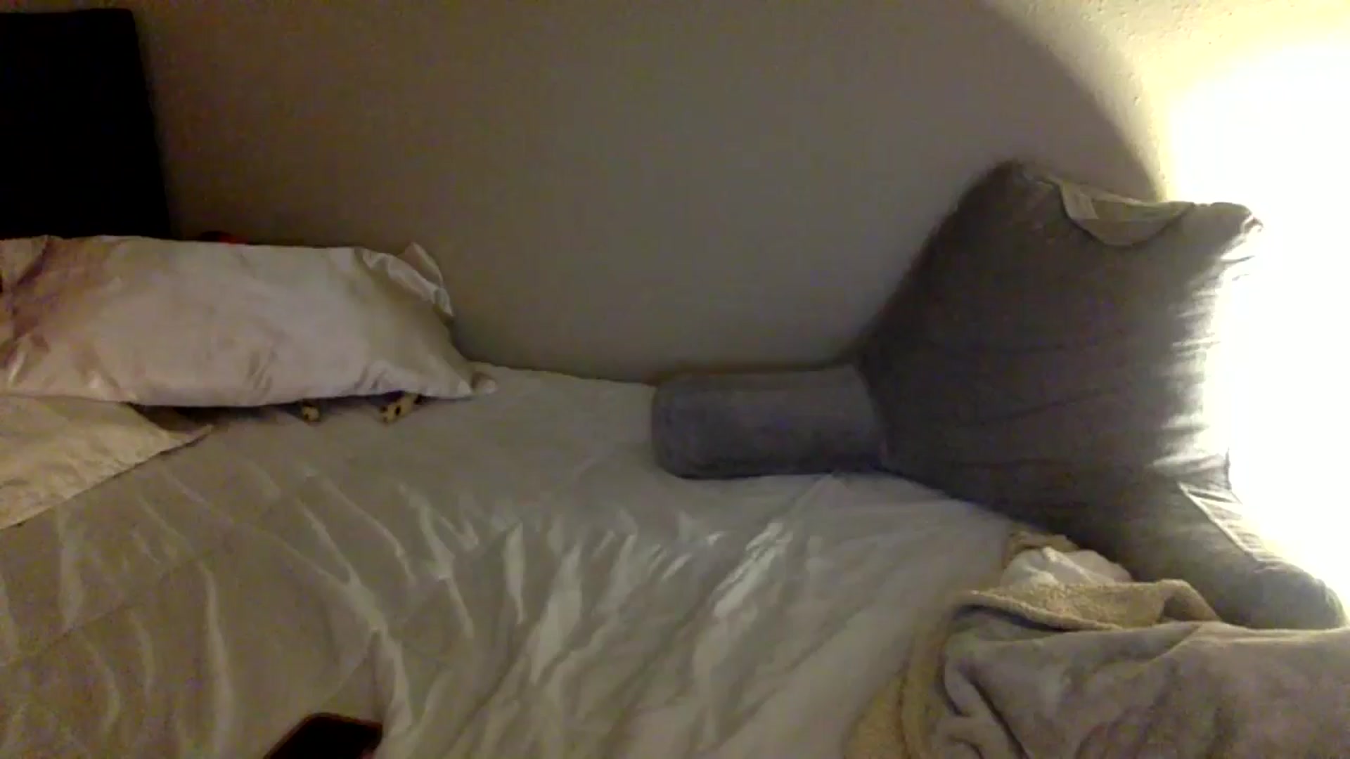 Gallery image thumbnail from lilagomez's myfreecams stream on, 07/21/2024, 10:07 image 19 of 20