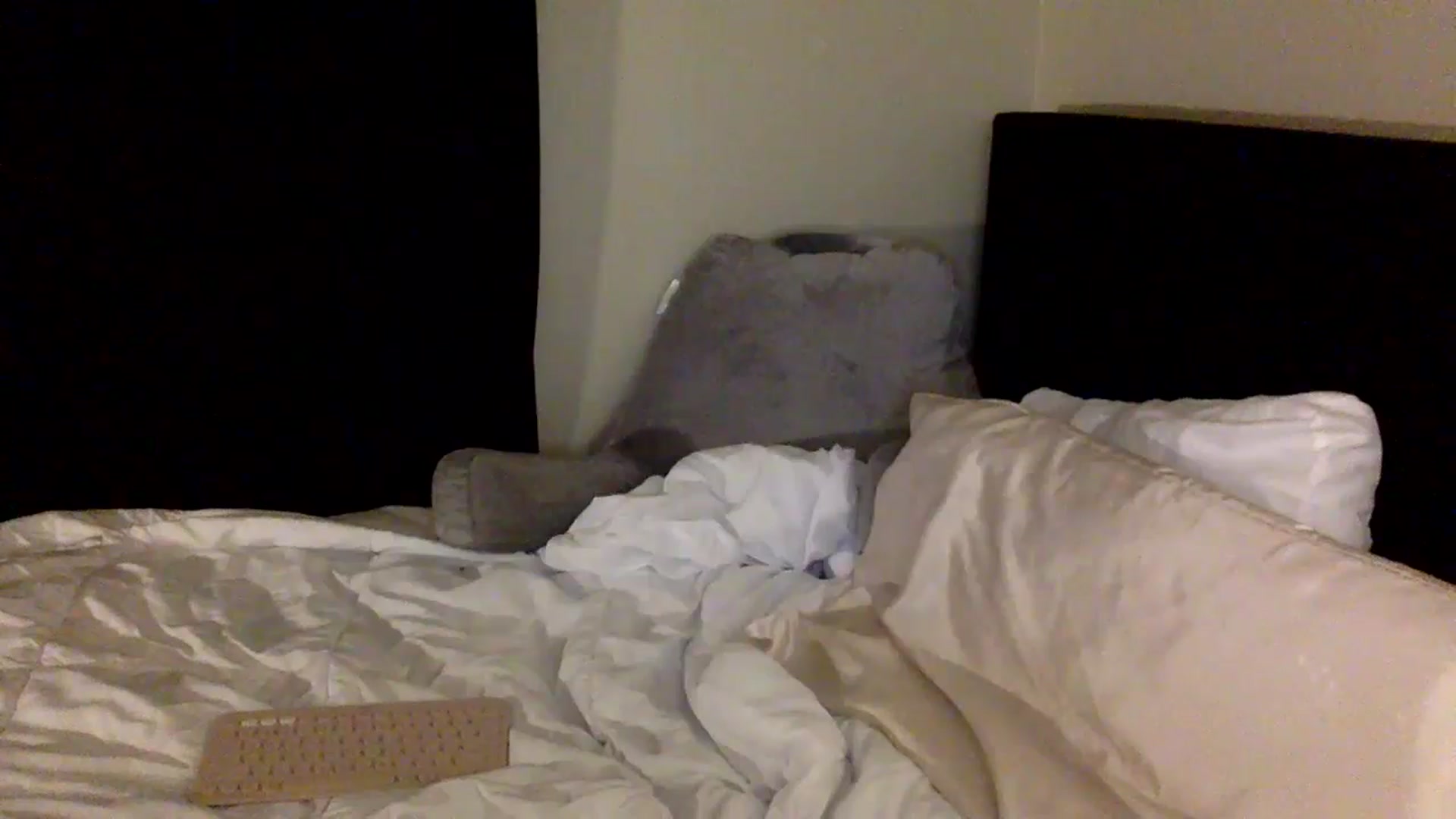 Gallery image thumbnail from lilagomez's myfreecams stream on, 08/17/2024, 07:06 image 6 of 20