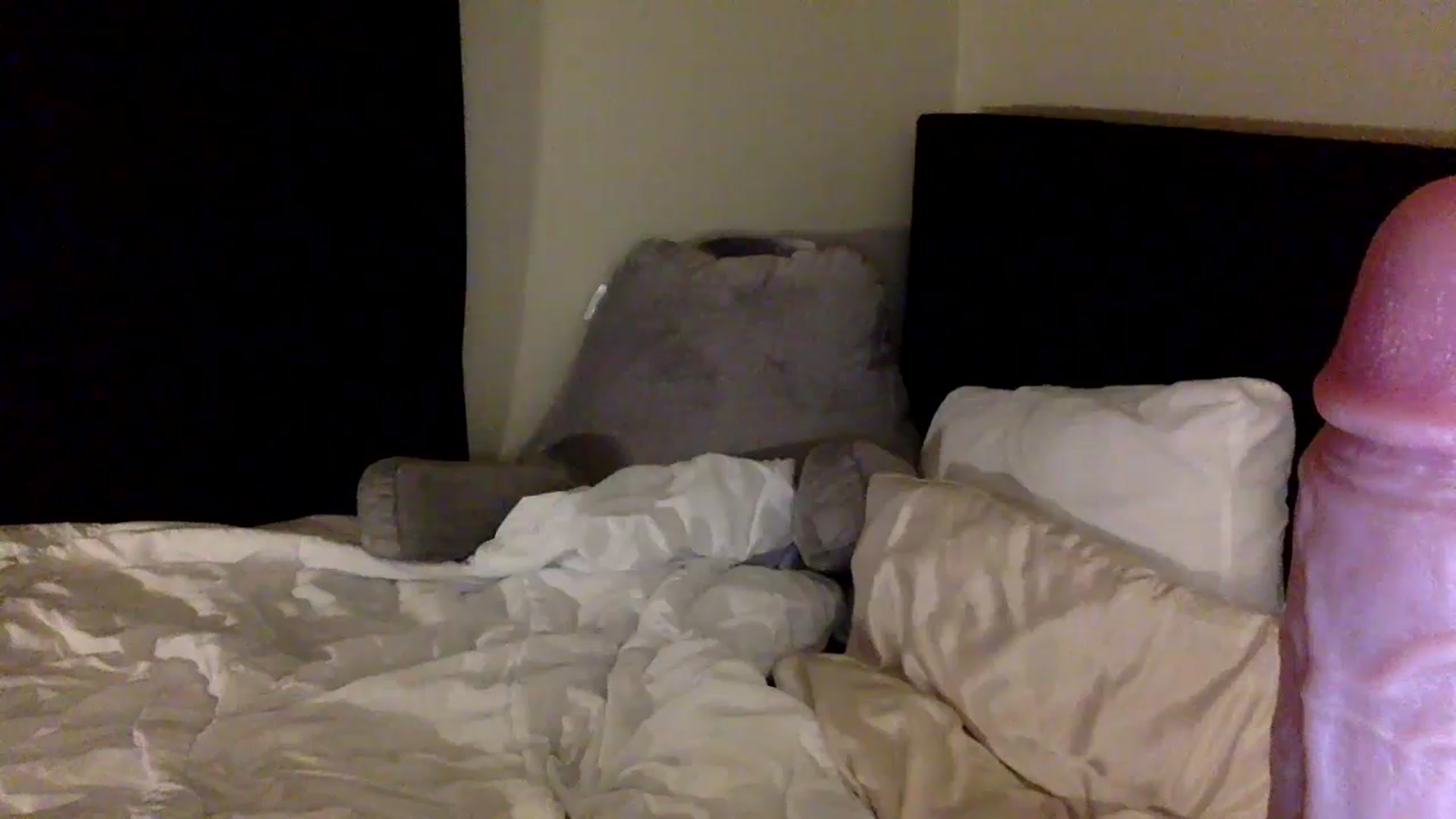 Gallery image thumbnail from lilagomez's myfreecams stream on, 08/17/2024, 08:07 image 15 of 20