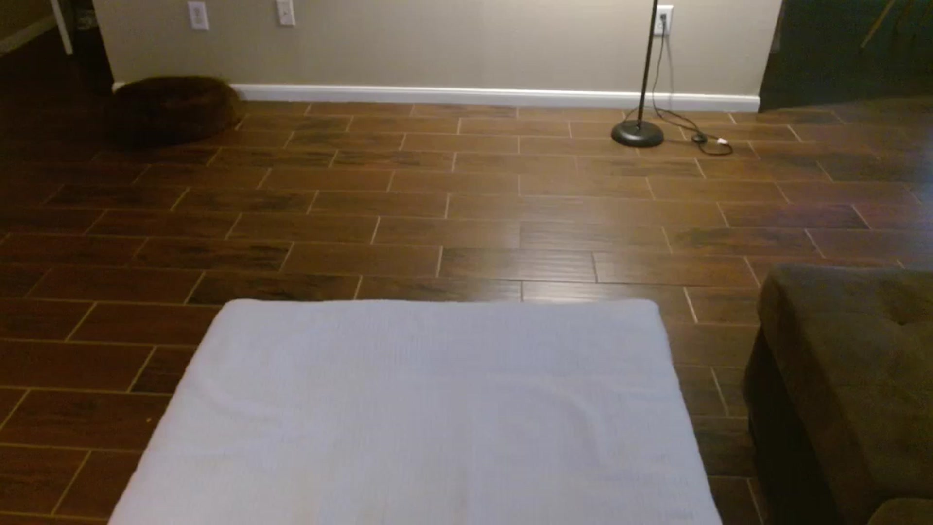Gallery image thumbnail from lilagomez's myfreecams stream on, 12/04/2024, 14:49 image 16 of 20