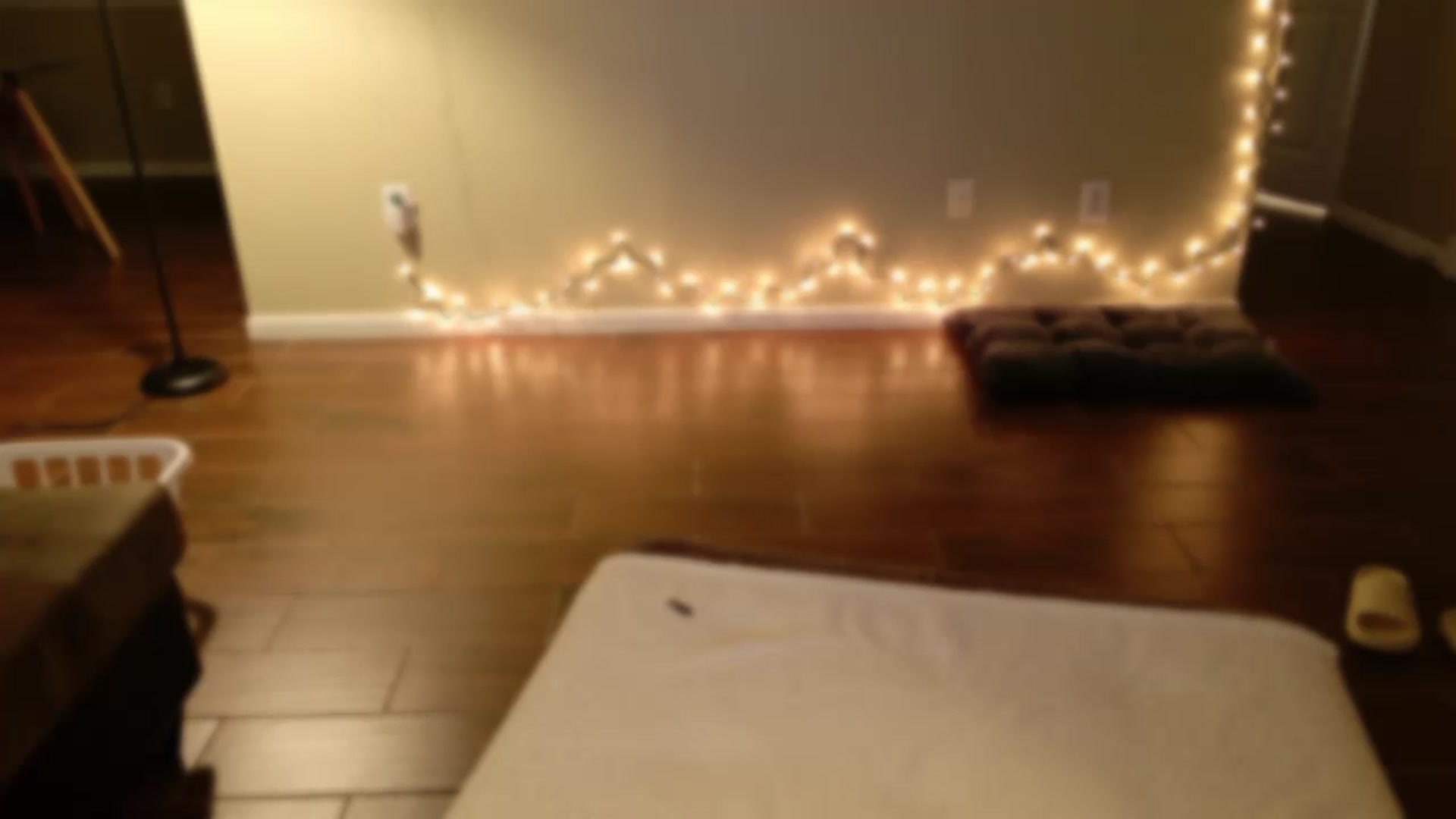 Gallery image thumbnail from lilagomez's myfreecams stream on, 12/23/2024, 13:01 image 6 of 20
