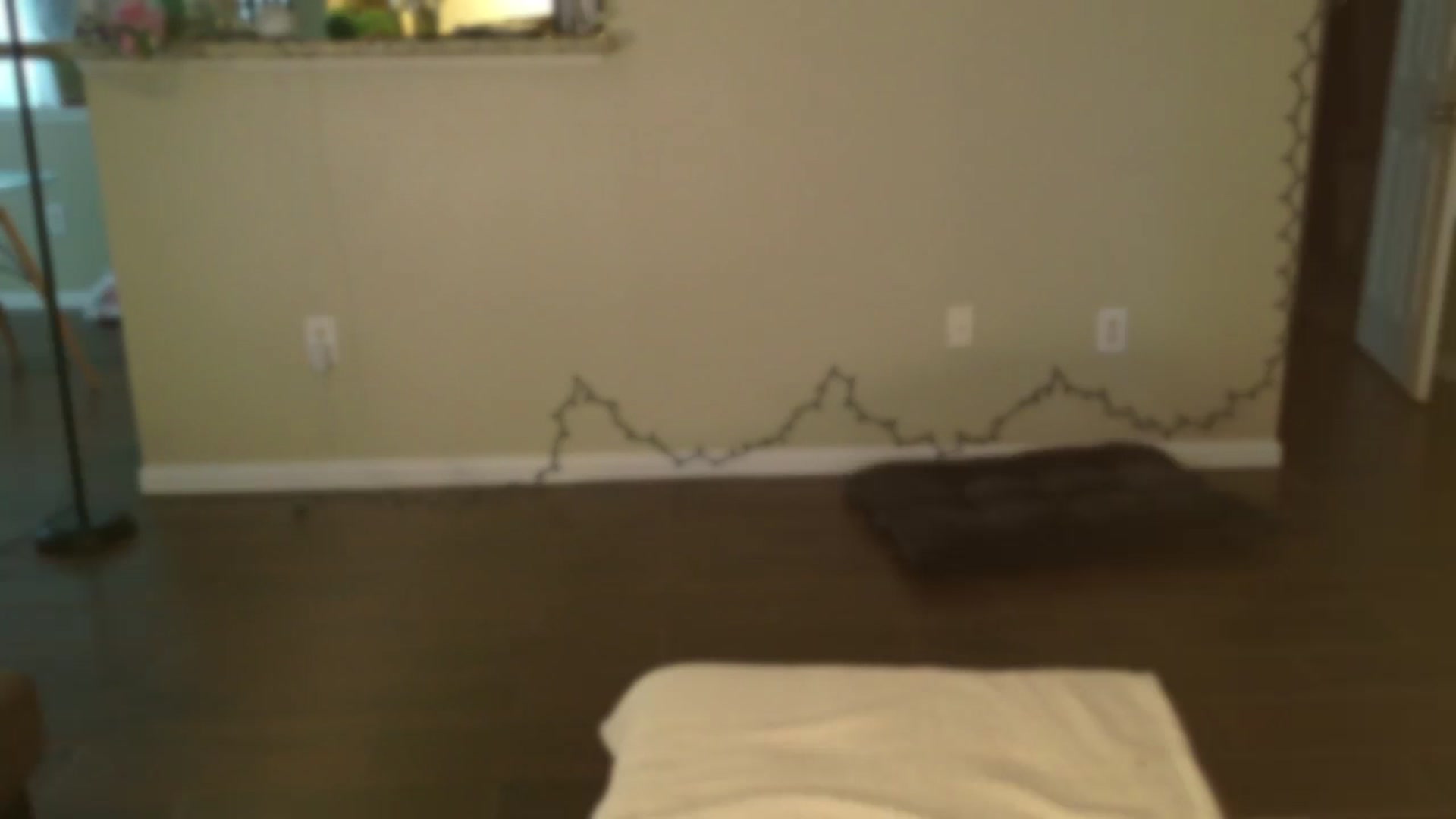 Gallery image thumbnail from lilagomez's myfreecams stream on, 12/29/2024, 15:47 image 6 of 20