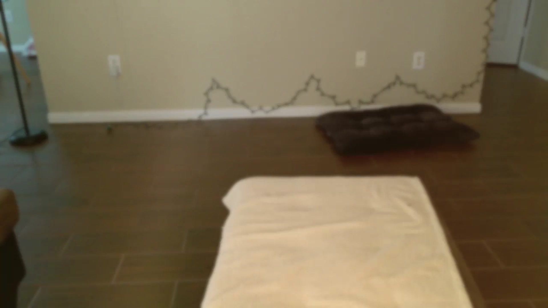 Gallery image thumbnail from lilagomez's myfreecams stream on, 12/29/2024, 17:10 image 5 of 20