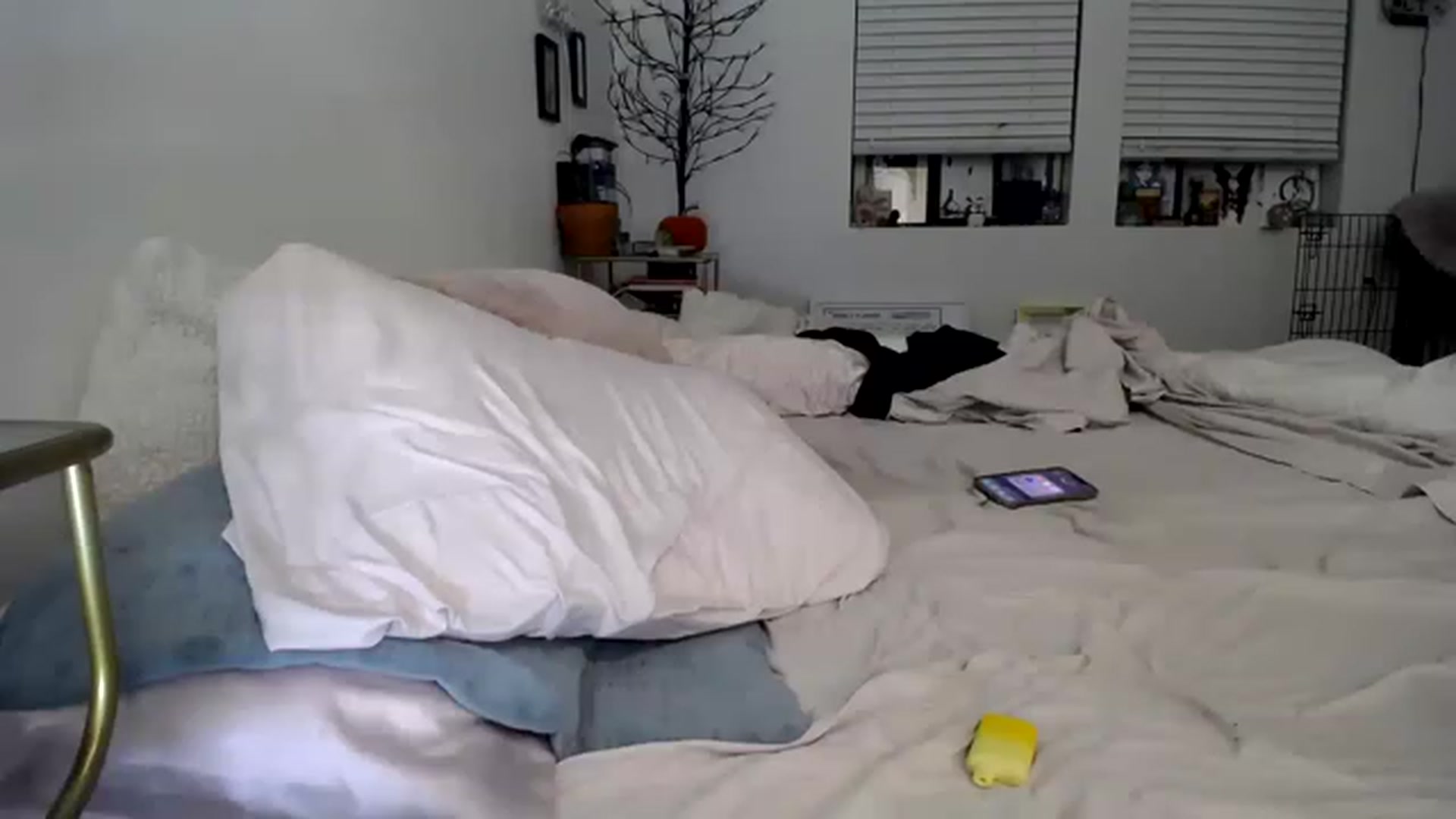 Gallery image thumbnail from lilbaby's myfreecams stream on, 11/17/2022, 02:48 image 9 of 20