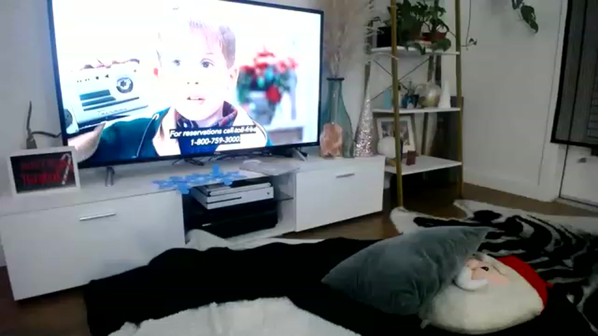 Gallery image thumbnail from lilbaby's myfreecams stream on, 12/12/2022, 07:24 image 3 of 20