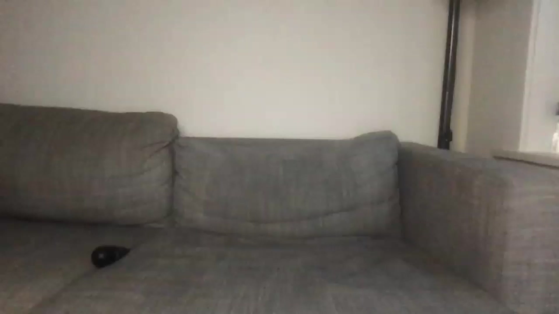 Gallery image thumbnail from lilbunnyjenna's myfreecams stream on, 01/28/2025, 15:13 image 18 of 20