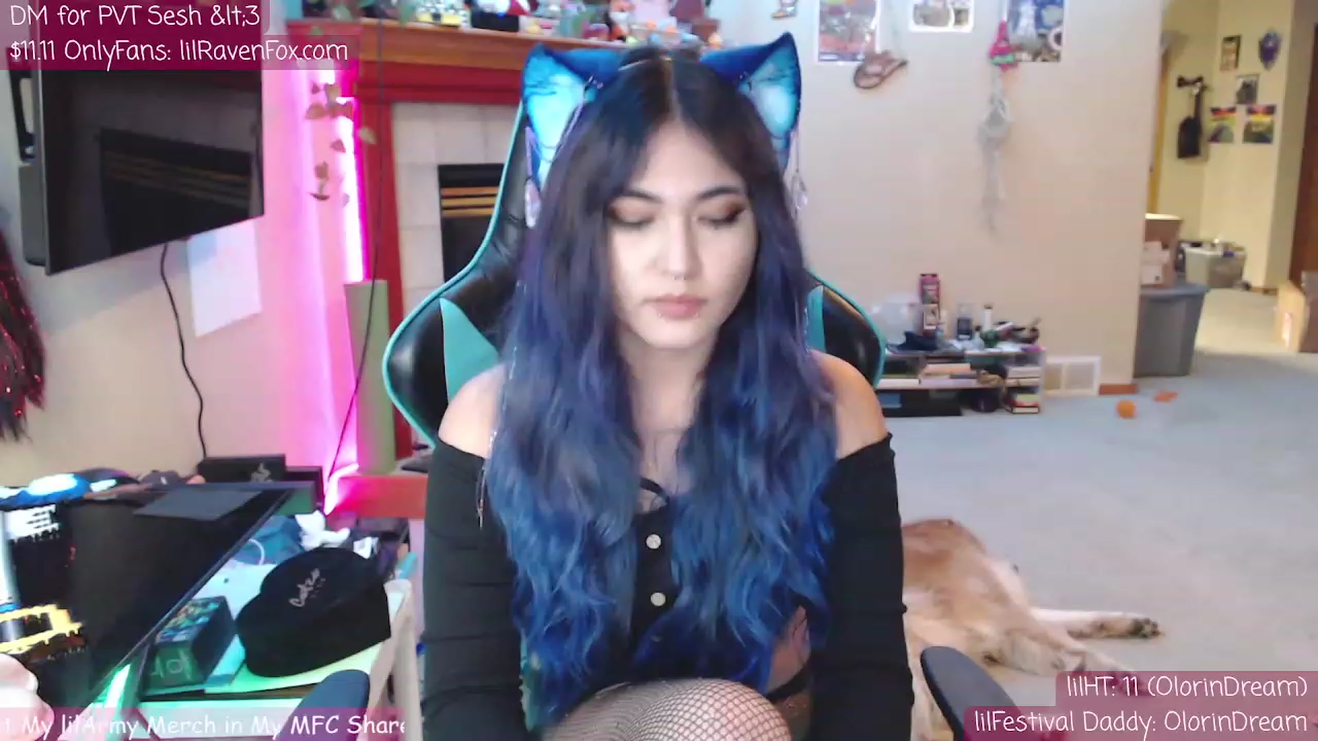 Gallery image thumbnail from lilravenfoxx's myfreecams stream on, 11/16/2022, 08:35 image 1 of 20