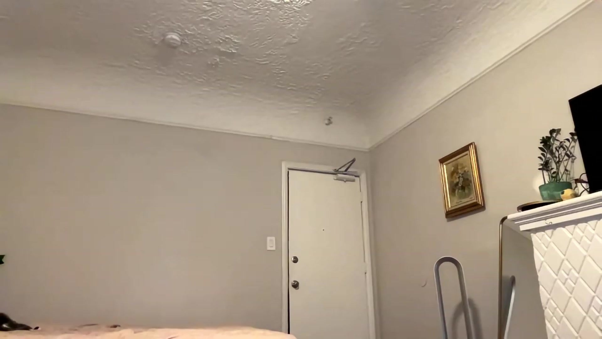 Gallery image thumbnail from lilsoftlace_'s myfreecams stream on, 04/04/2023, 03:07 image 9 of 20