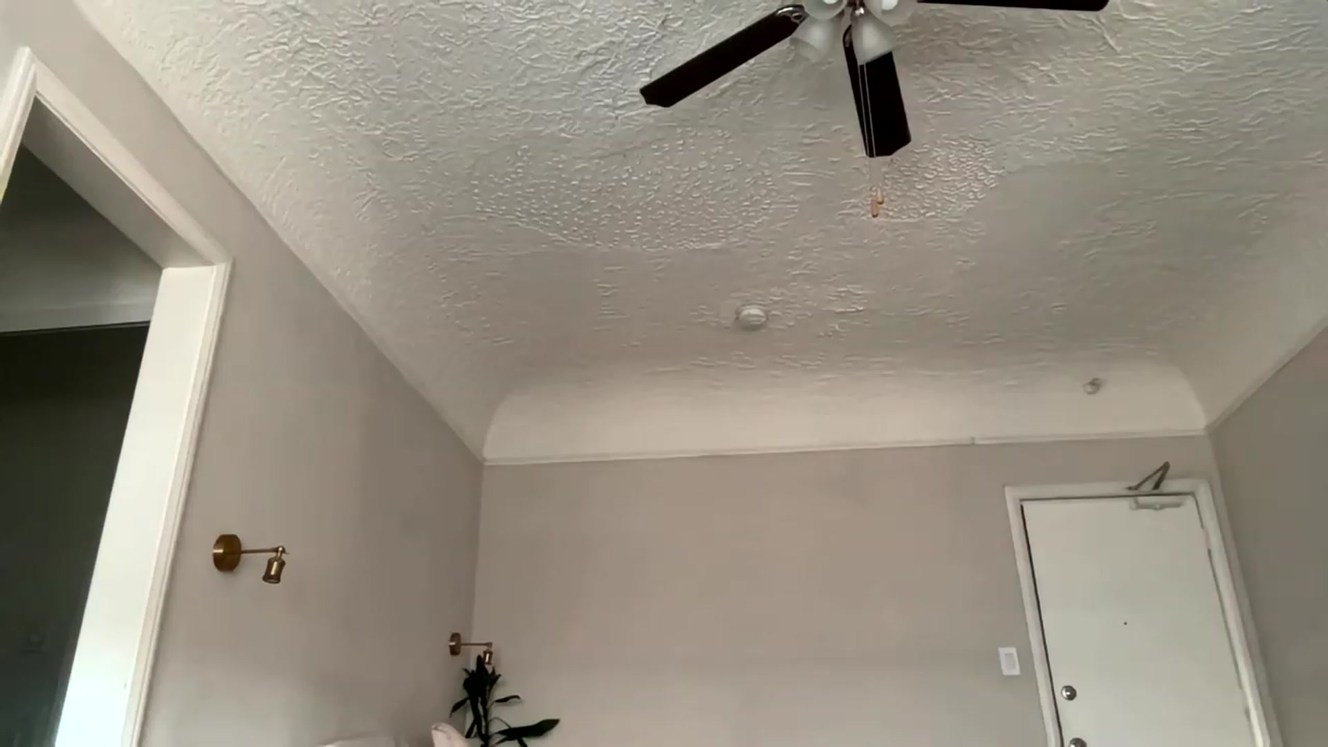 Gallery image thumbnail from lilsoftlace_'s myfreecams stream on, 04/20/2023, 02:49 image 10 of 20