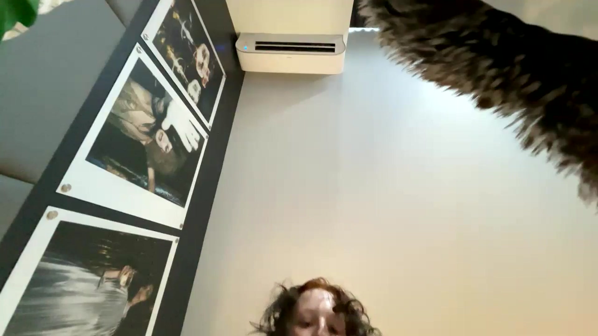 Gallery image thumbnail from lilstorm's myfreecams stream on, 05/22/2024, 15:14 image 18 of 20