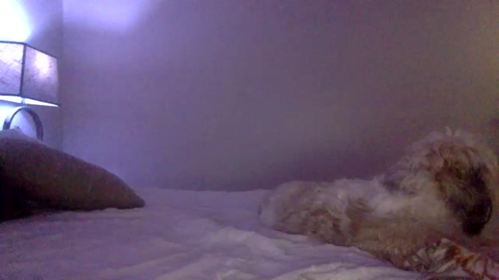 Gallery image thumbnail from lingerieyoga's myfreecams stream on, 06/12/2024, 04:06 image 7 of 20