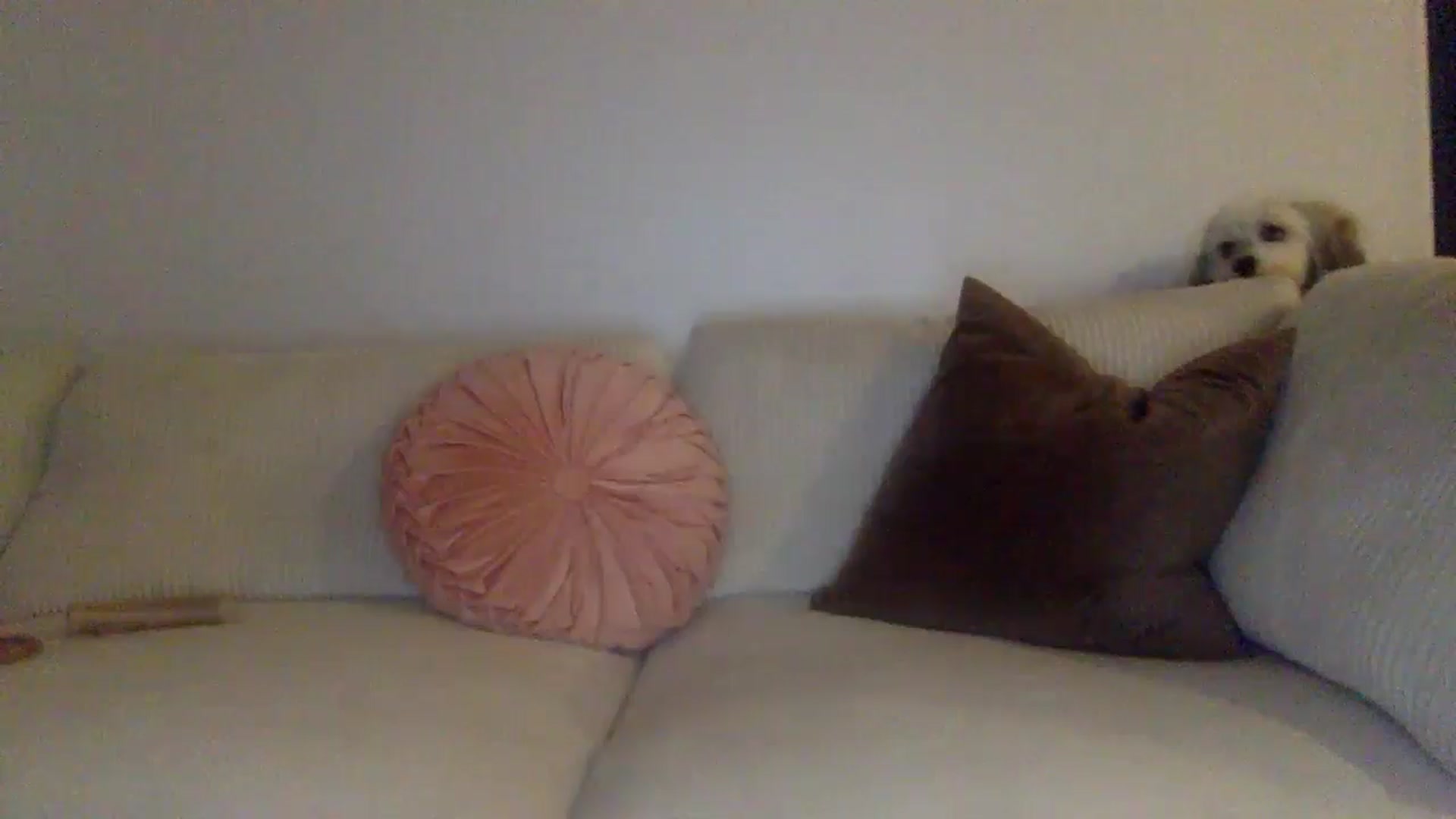 Gallery image thumbnail from lingerieyoga's myfreecams stream on, 07/16/2024, 05:11 image 7 of 20