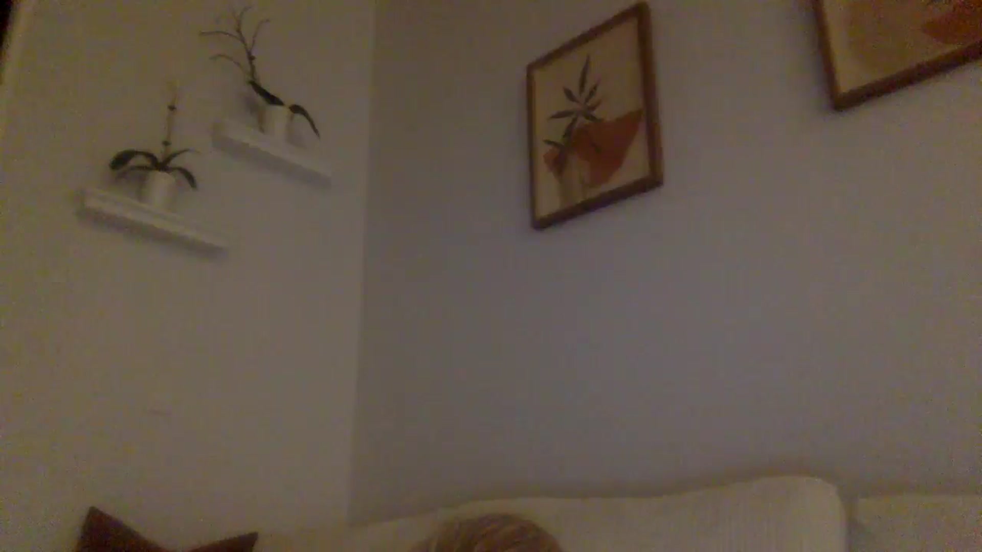 Gallery image thumbnail from lingerieyoga's myfreecams stream on, 09/23/2024, 03:22 image 18 of 20
