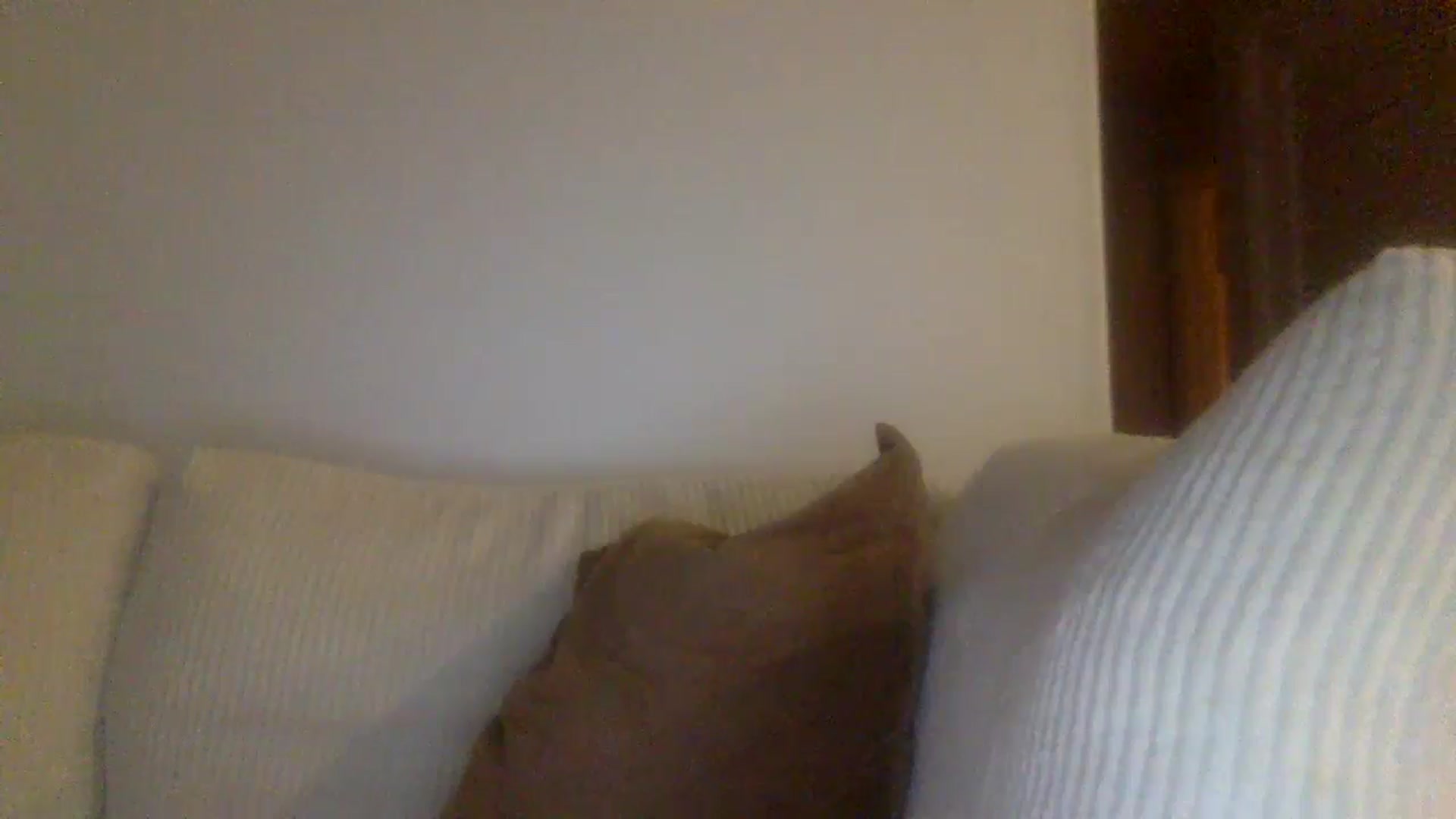 Gallery image thumbnail from lingerieyoga's myfreecams stream on, 09/23/2024, 03:22 image 8 of 20