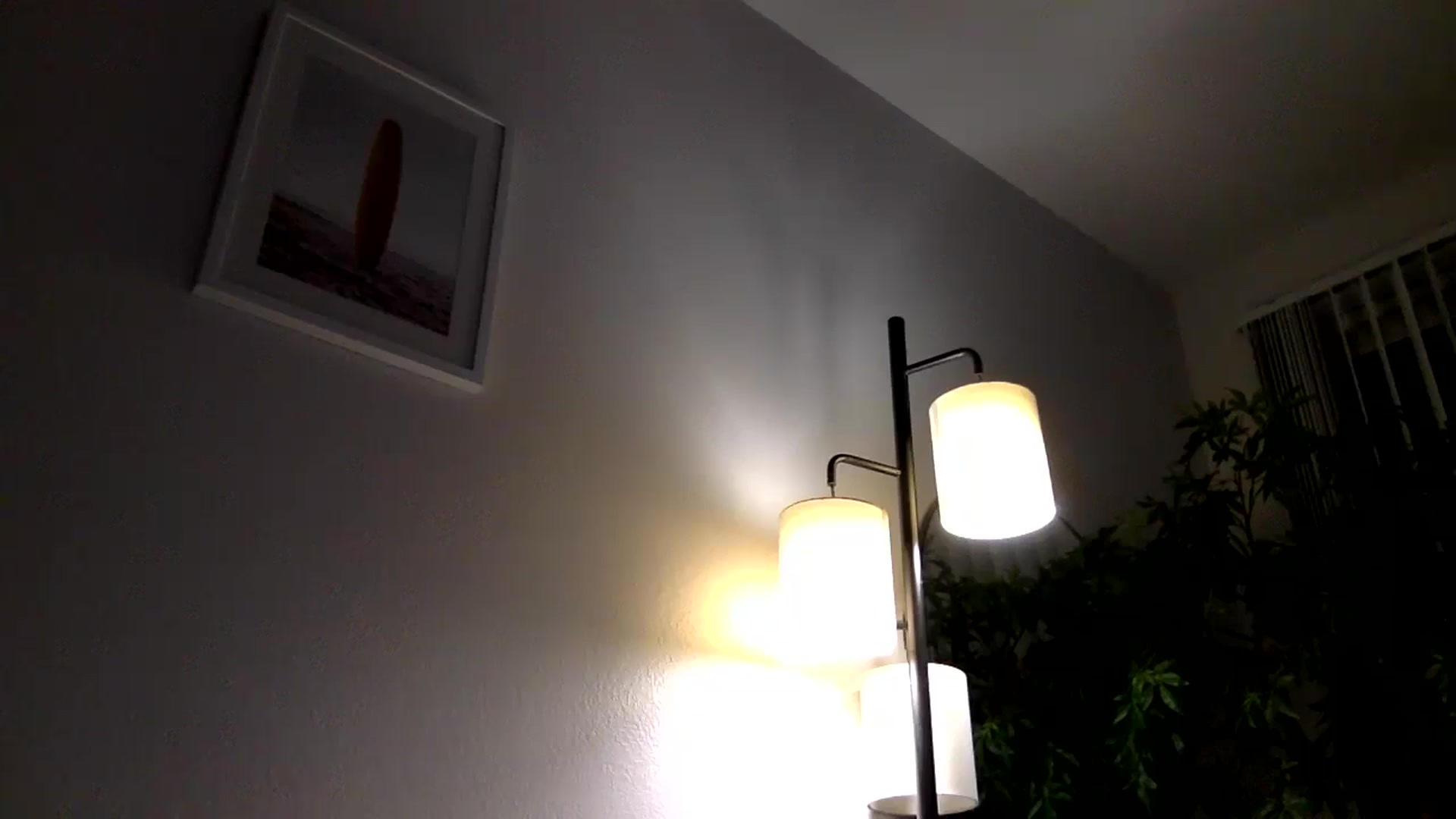 Gallery image thumbnail from lingerieyoga's myfreecams stream on, 10/30/2024, 03:40 image 13 of 20