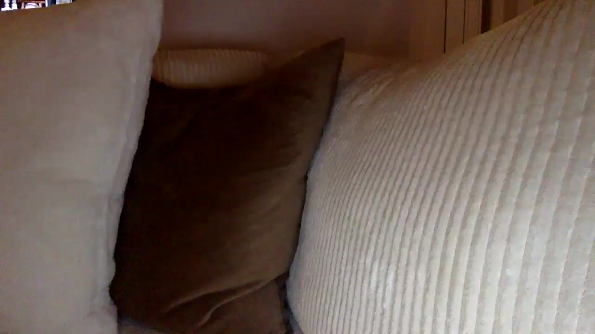 Gallery image thumbnail from lingerieyoga's myfreecams stream on, 11/22/2024, 04:46 image 10 of 20