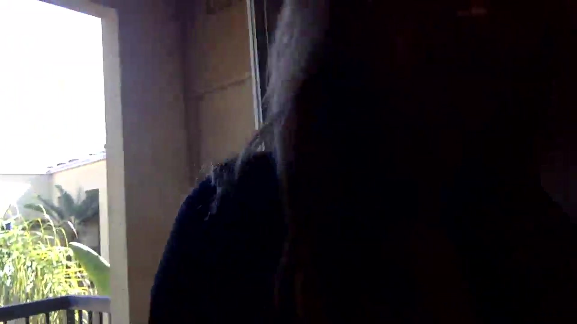 Gallery image thumbnail from lingerieyoga's myfreecams stream on, 04/29/2025, 23:35 image 7 of 20