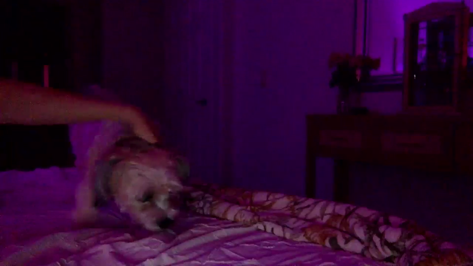 Gallery image thumbnail from lingerieyoga's myfreecams stream on, 06/19/2025, 06:20 image 13 of 20