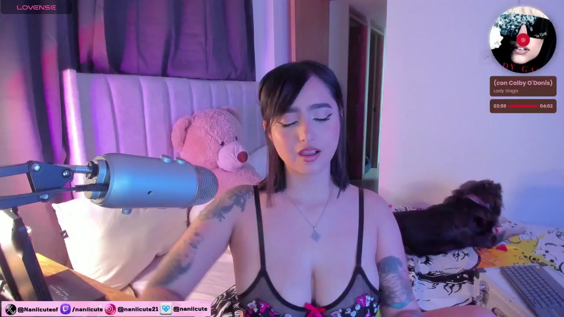Gallery image thumbnail from littlebelle_'s myfreecams stream on, 07/24/2024, 04:45 image 16 of 20