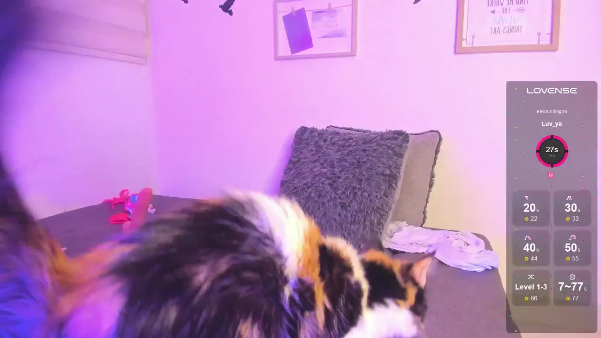 Gallery image thumbnail from littlebelle_'s myfreecams stream on, 08/01/2024, 08:05 image 1 of 20