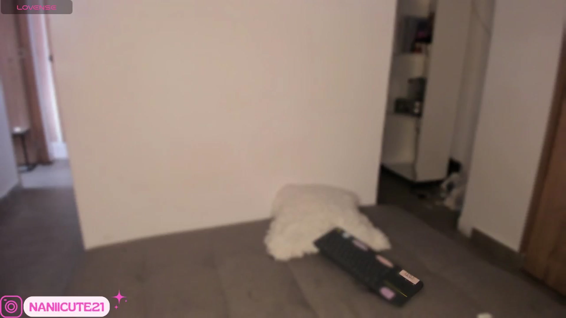 Gallery image thumbnail from littlebelle_'s myfreecams stream on, 10/21/2024, 19:46 image 17 of 20
