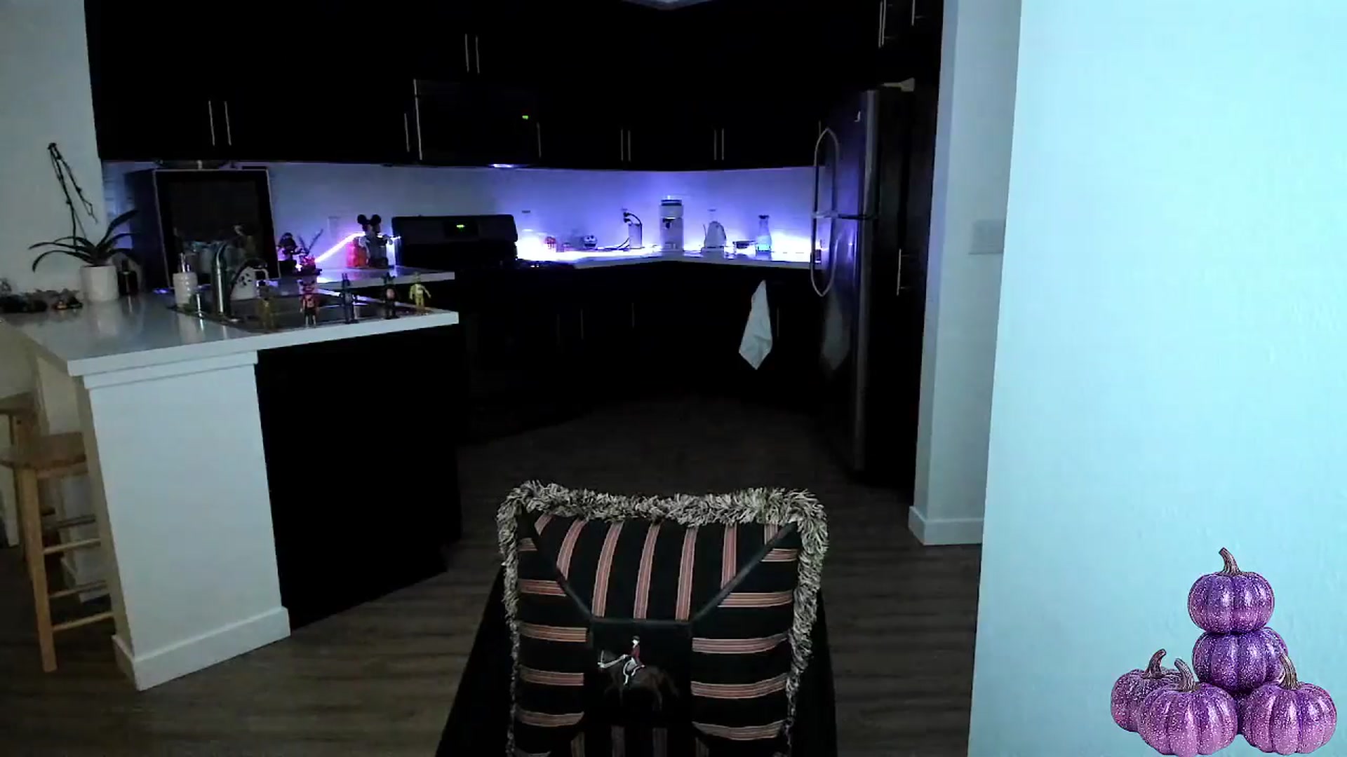 Gallery image thumbnail from litty's myfreecams stream on, 10/07/2025, 05:36 image 4 of 20