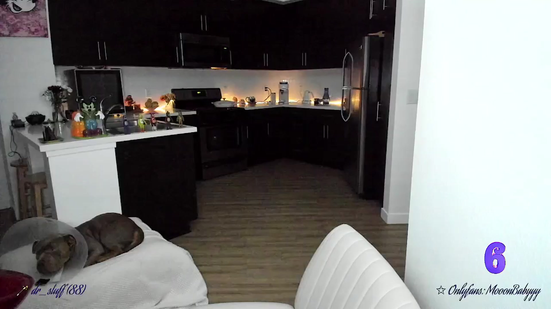 Gallery image thumbnail from litty's myfreecams stream on, 11/02/2025, 05:19 image 2 of 20