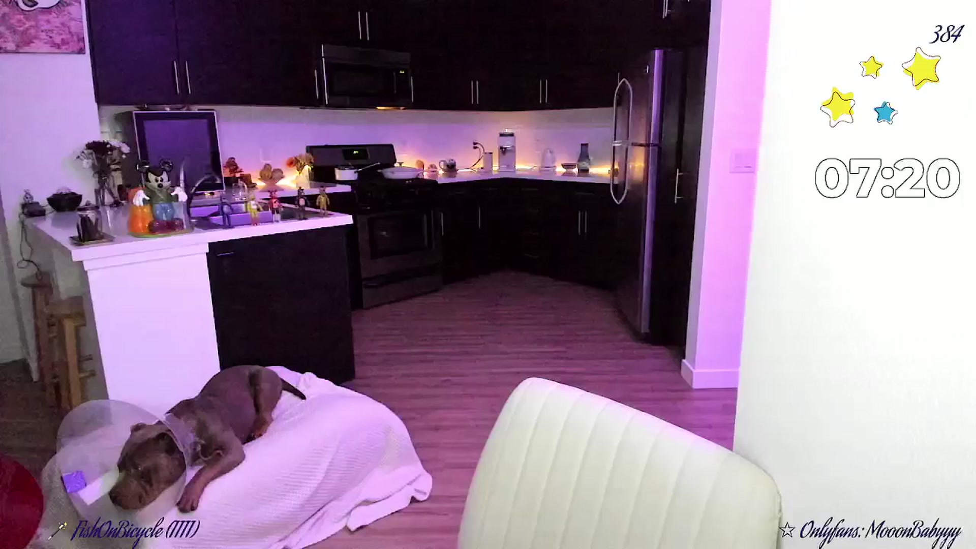 Gallery image thumbnail from litty's myfreecams stream on, 11/02/2025, 05:58 image 15 of 20
