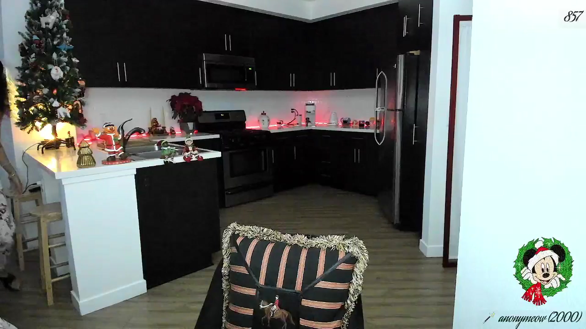 Gallery image thumbnail from litty's myfreecams stream on, 12/17/2025, 05:56 image 6 of 20