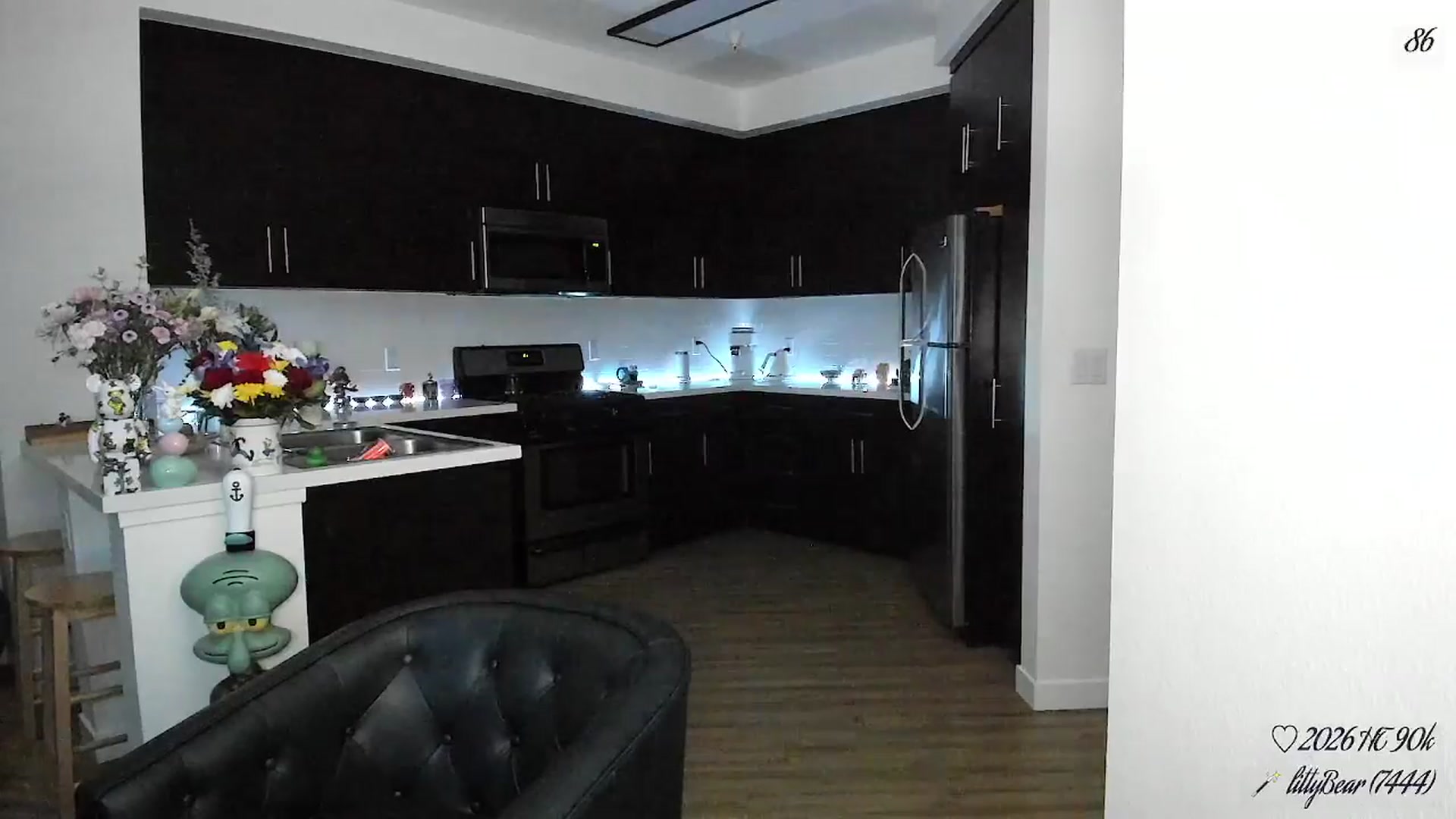 Gallery image thumbnail from litty's myfreecams stream on, 04/12/2026, 07:46 image 15 of 20