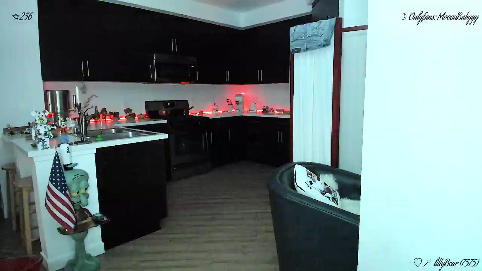 Gallery image thumbnail from litty's myfreecams stream on, 05/26/2026, 05:22 image 2 of 20
