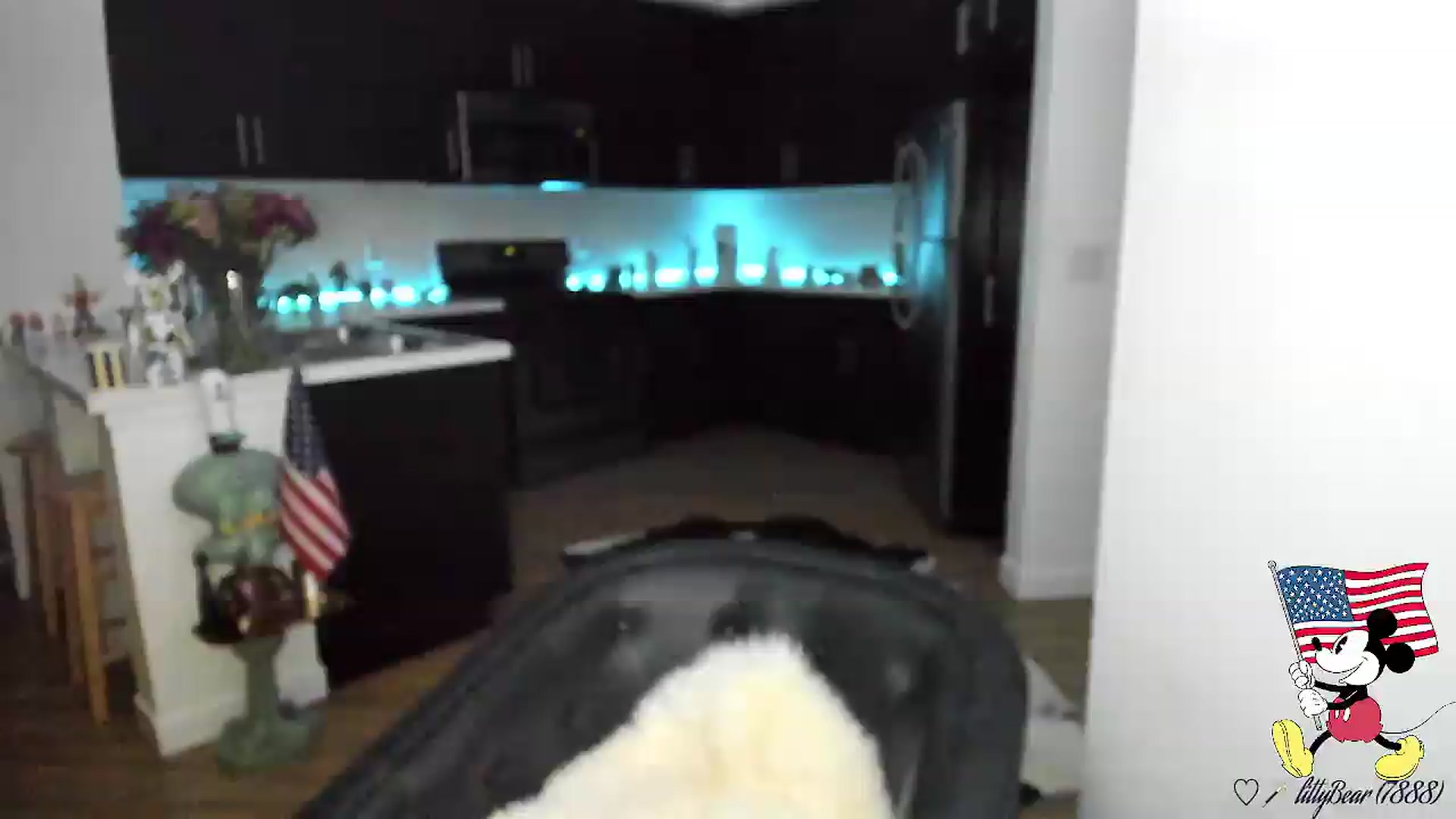 Gallery image thumbnail from litty's myfreecams stream on, 07/04/2026, 09:11 image 9 of 20