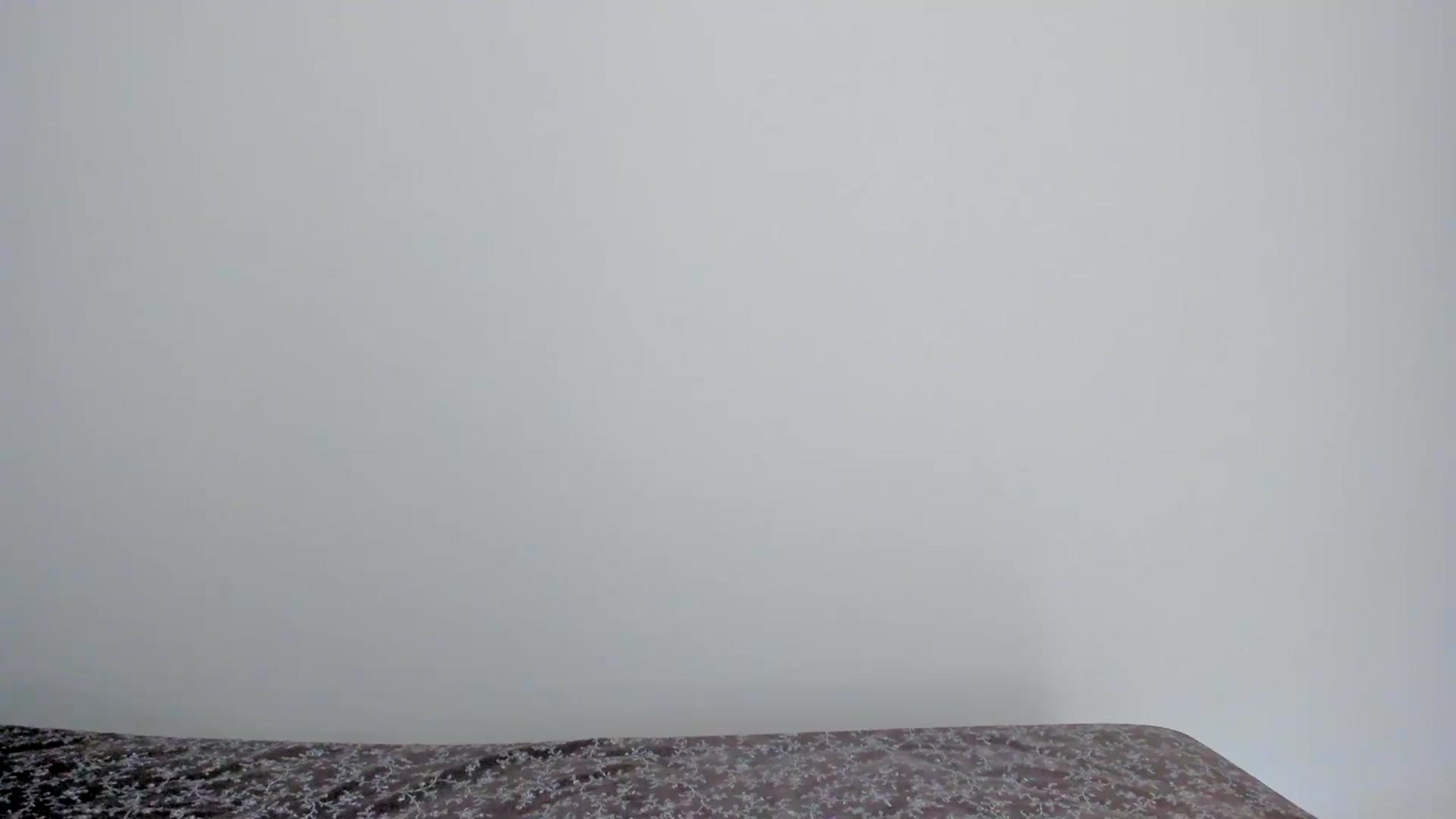 Gallery image thumbnail from llamatell's myfreecams stream on, 08/17/2023, 07:41 image 17 of 20