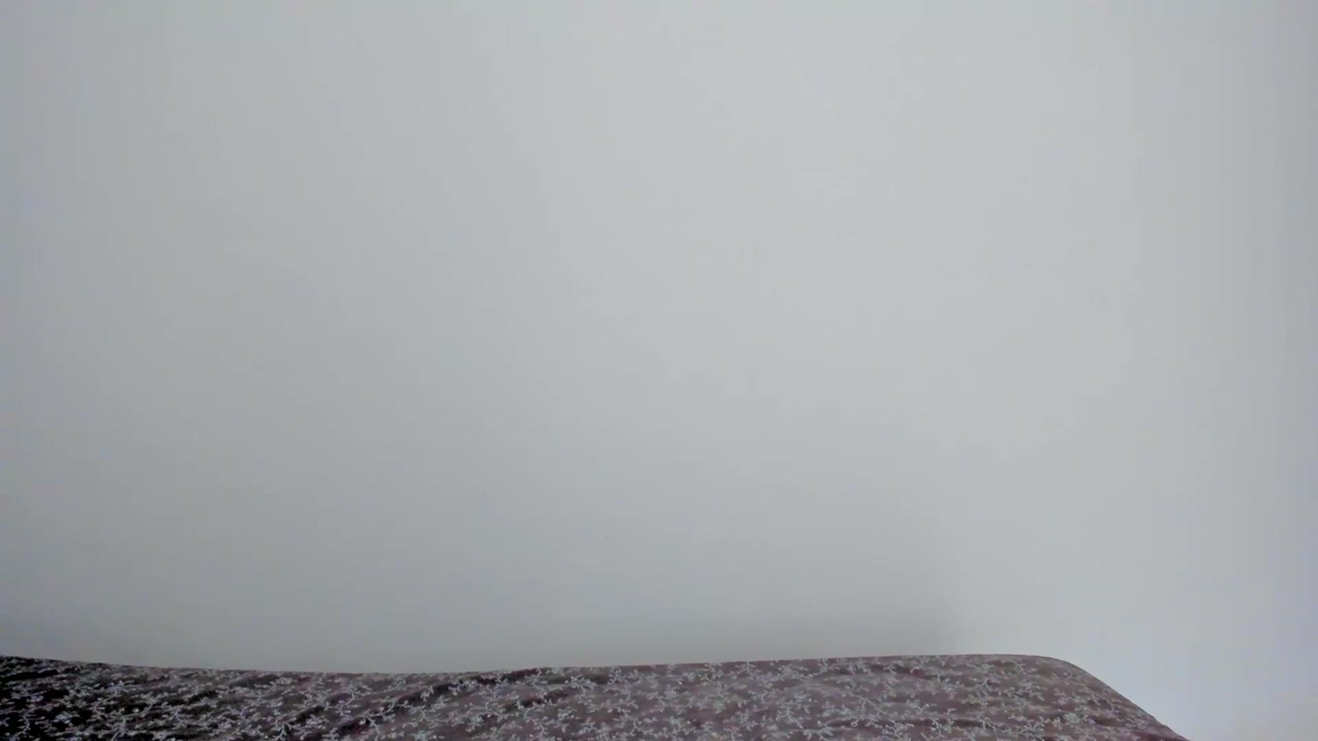Gallery image thumbnail from llamatell's myfreecams stream on, 08/17/2023, 07:41 image 19 of 20