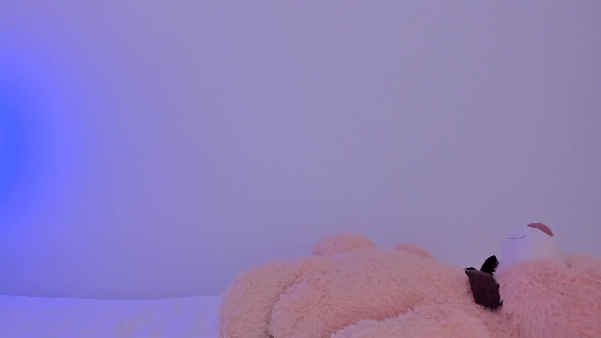 Gallery image thumbnail from llamatell's myfreecams stream on, 10/19/2023, 07:44 image 8 of 20