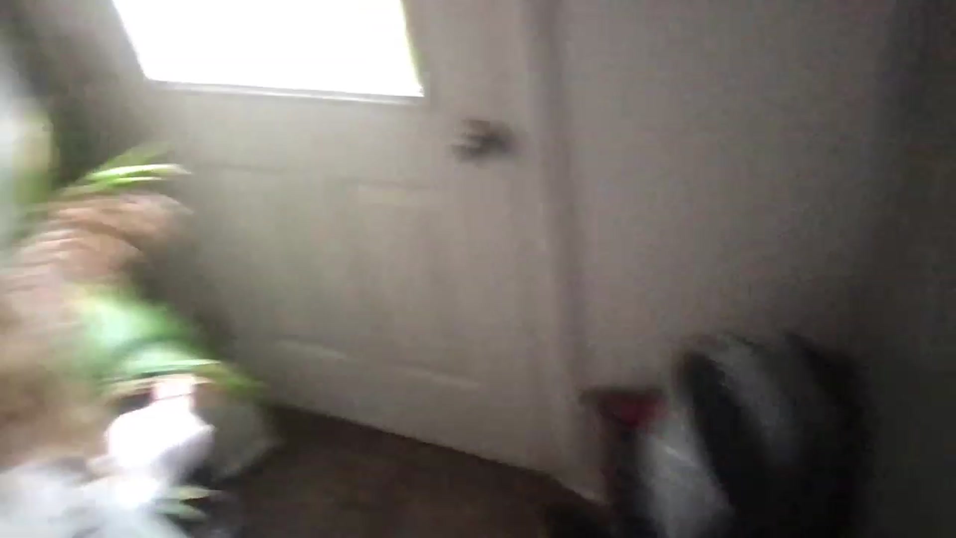 Gallery image thumbnail from lolypopbubble's myfreecams stream on, 05/02/2023, 19:33 image 5 of 20