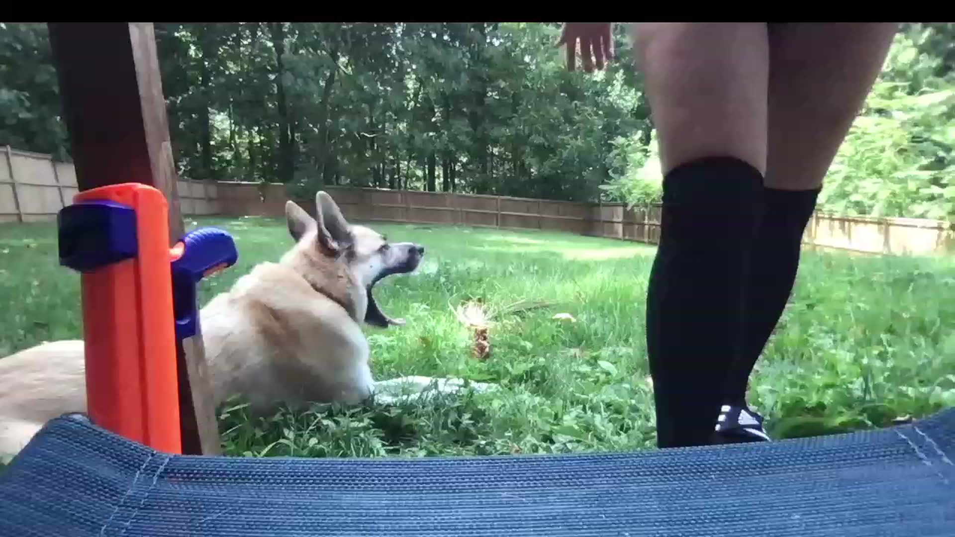 Gallery image thumbnail from lolypopbubble's myfreecams stream on, 08/14/2023, 18:13 image 19 of 20
