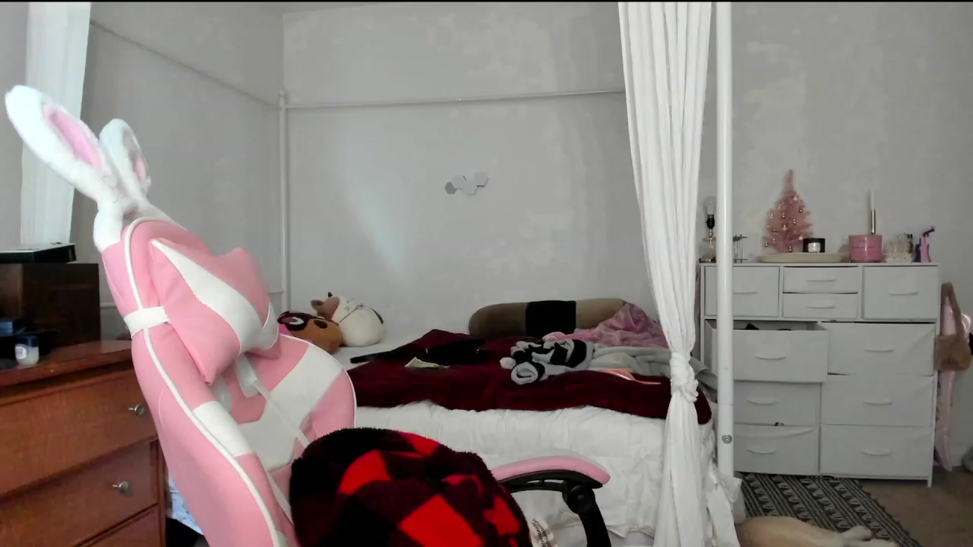 Gallery image thumbnail from lolypopbubble's myfreecams stream on, 11/06/2023, 19:02 image 5 of 20