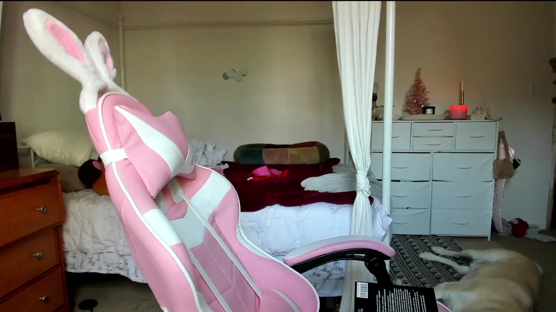 Gallery image thumbnail from lolypopbubble's myfreecams stream on, 11/07/2023, 21:47 image 10 of 20