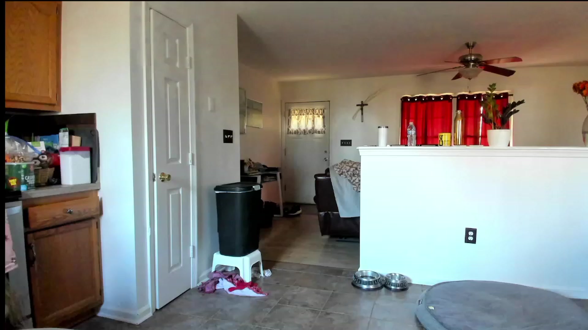 Gallery image thumbnail from lolypopbubble's myfreecams stream on, 11/16/2023, 15:42 image 2 of 20