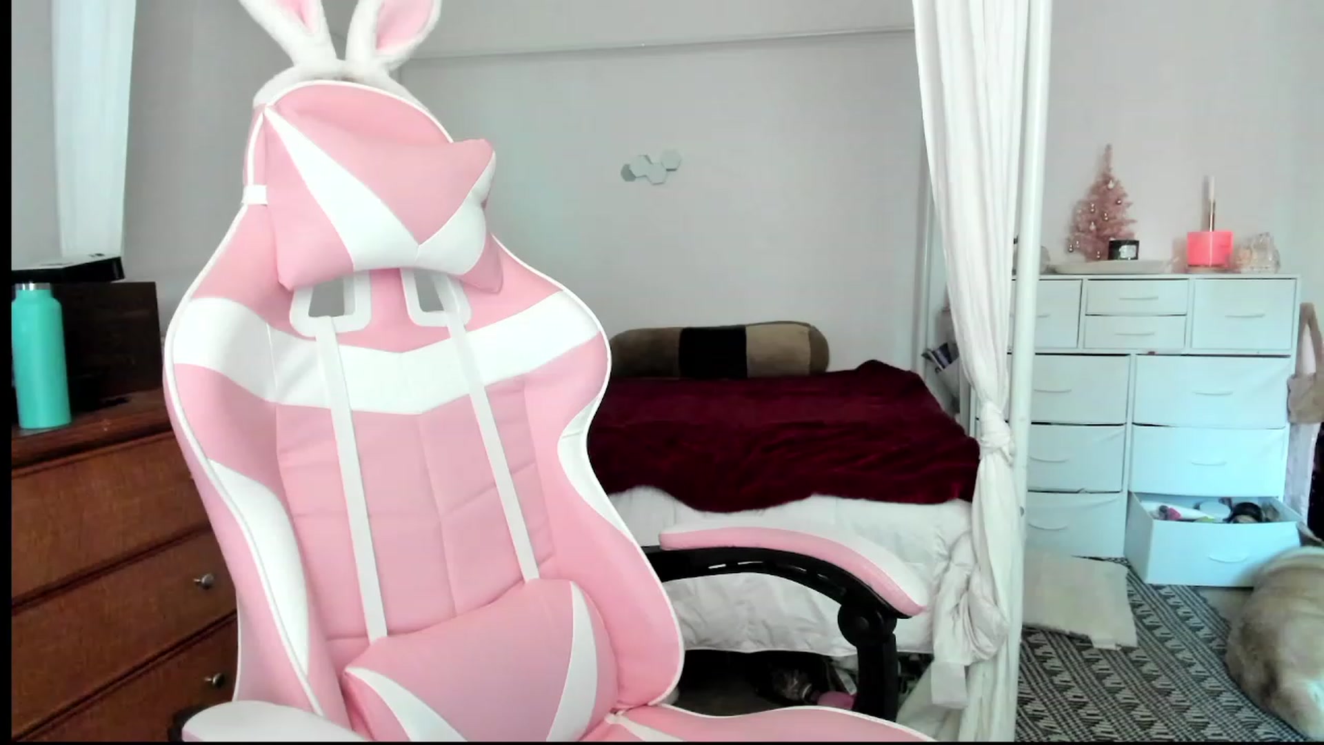 Gallery image thumbnail from lolypopbubble's myfreecams stream on, 11/16/2023, 18:07 image 5 of 20