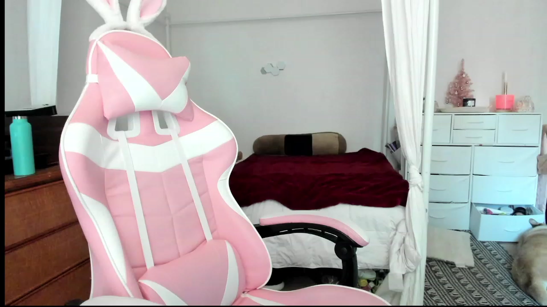 Gallery image thumbnail from lolypopbubble's myfreecams stream on, 11/16/2023, 18:07 image 7 of 20