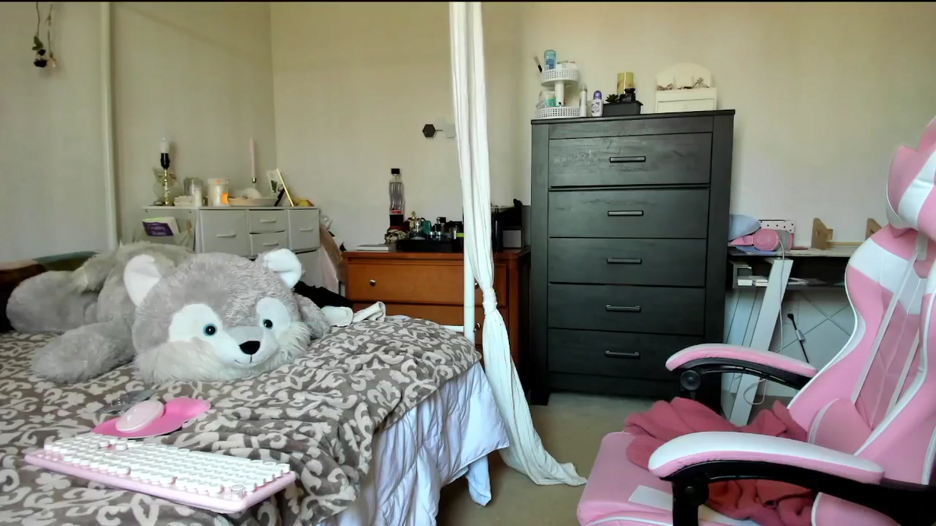 Gallery image thumbnail from lolypopbubble's myfreecams stream on, 03/20/2024, 18:15 image 17 of 20