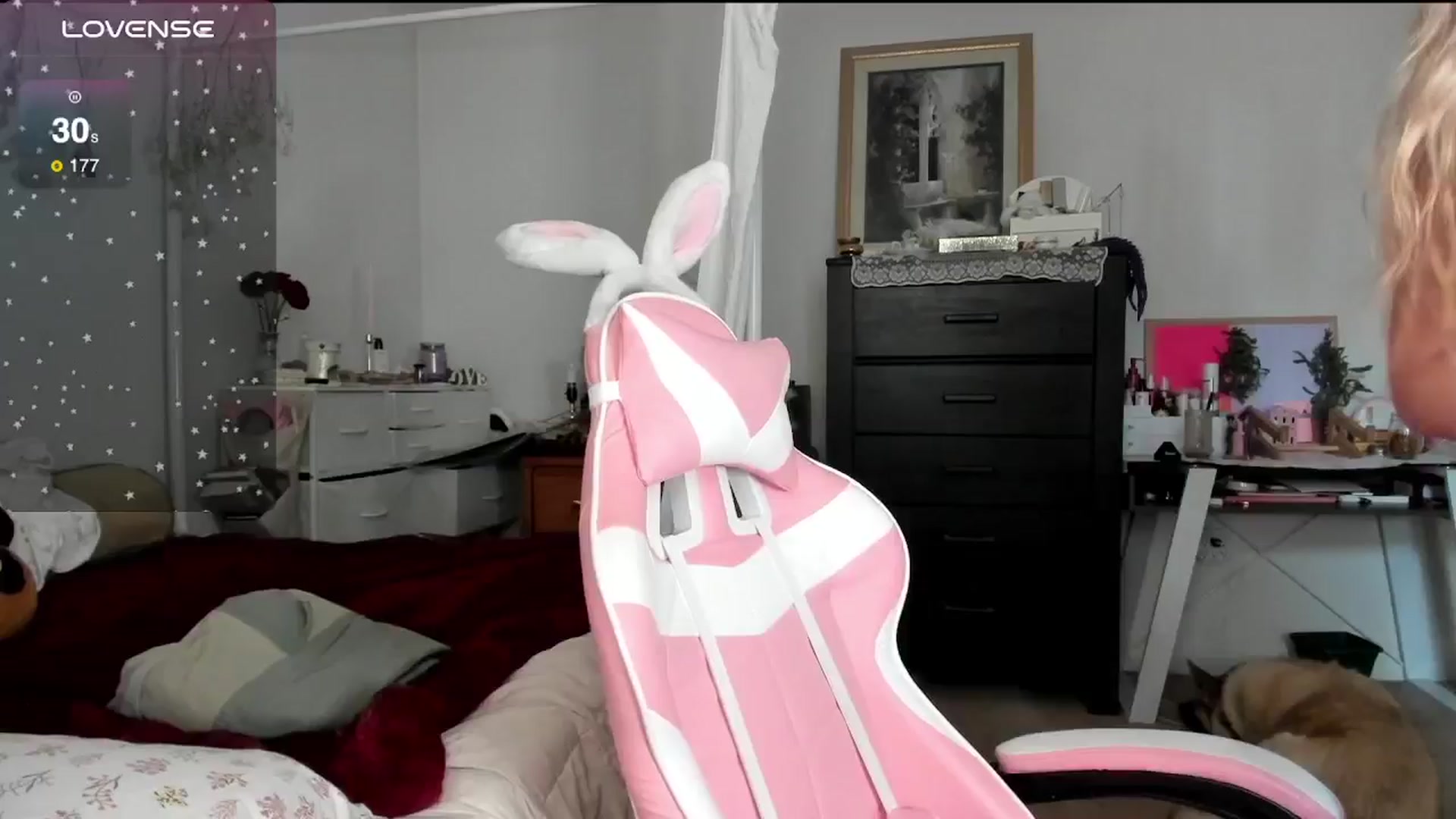 Gallery image thumbnail from lolypopbubble's myfreecams stream on, 11/18/2024, 19:54 image 1 of 20