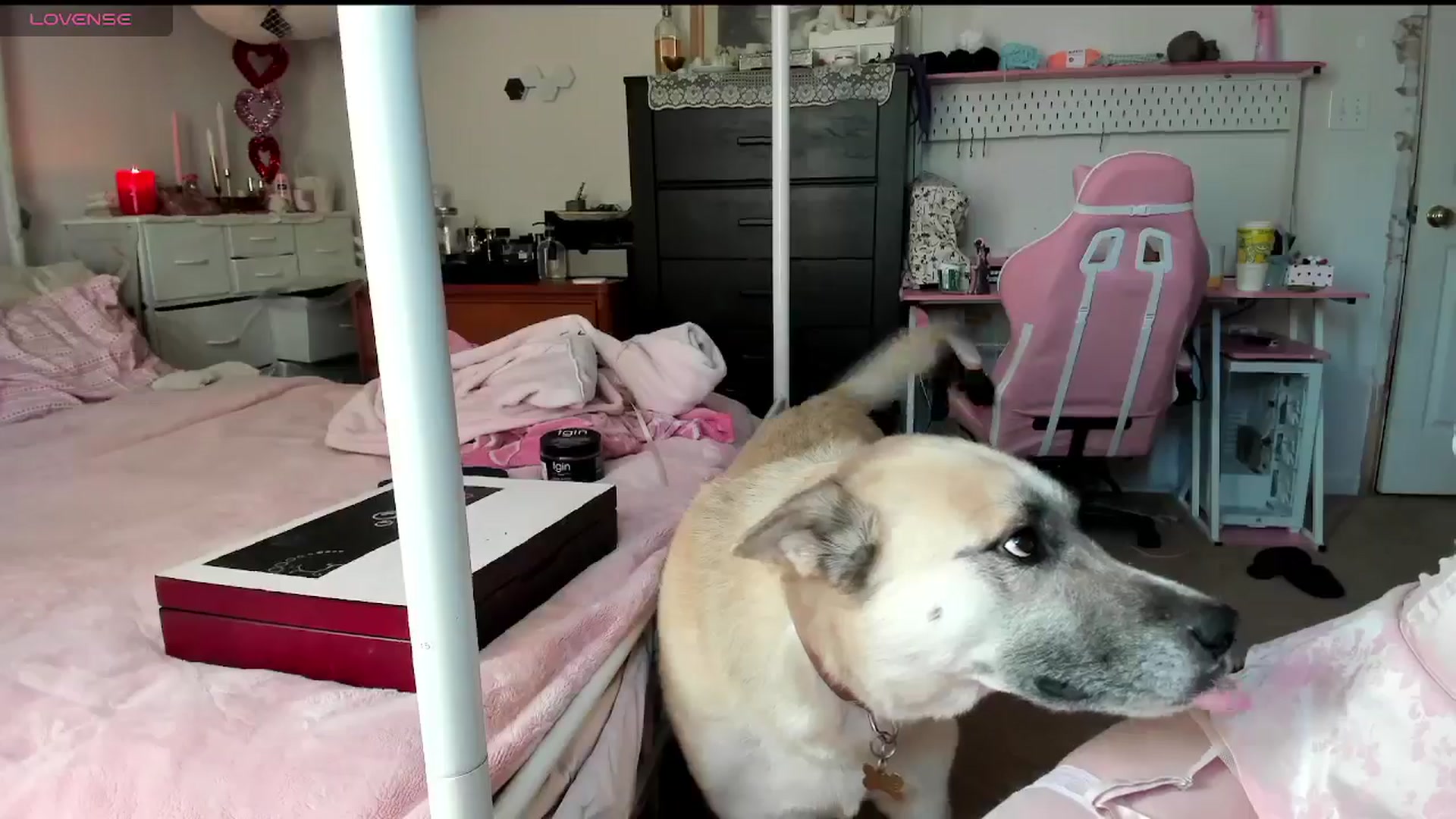 Gallery image thumbnail from lolypopbubble's myfreecams stream on, 02/21/2025, 21:11 image 18 of 20